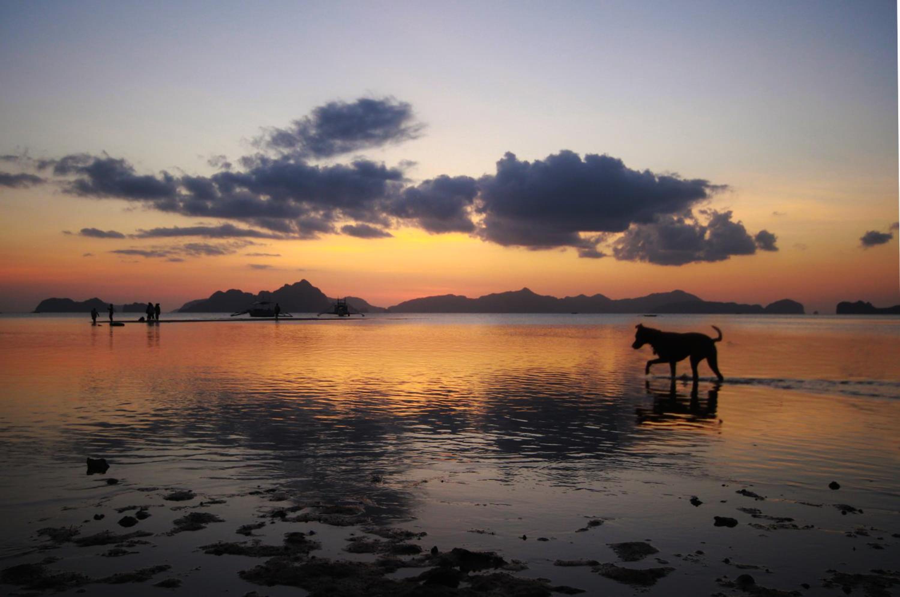 El Nido Royal Palm Inn, El Nido - 12