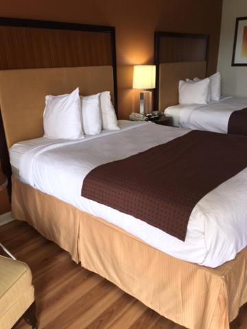 Royal Inn - Property Image 4