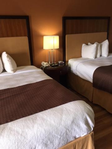 Royal Inn - Property Image 3