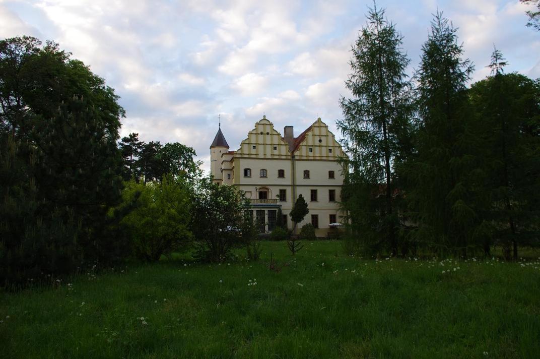 Zamek w Czernej view 3