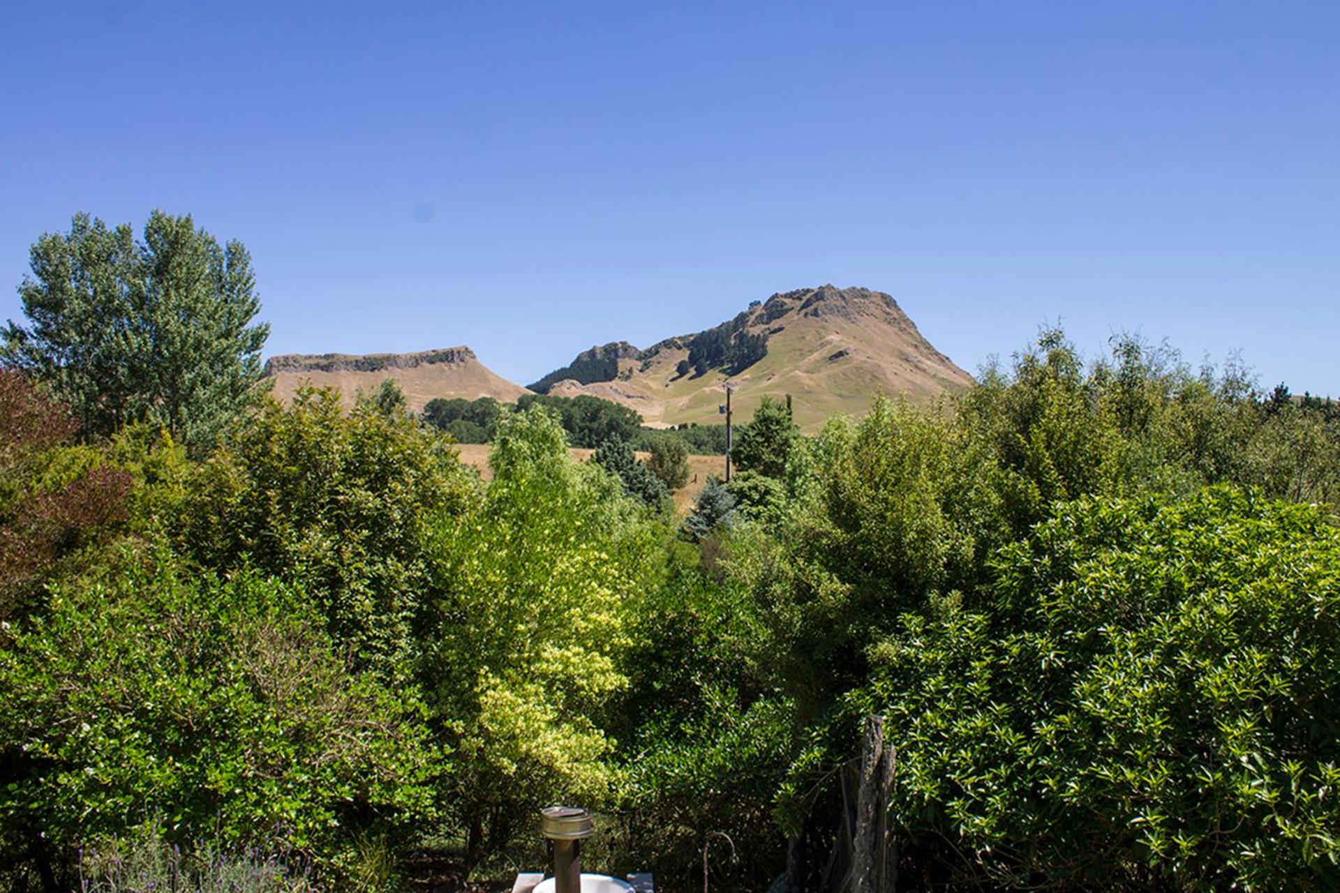 Secluded Haven Near Bush, Beach & Havelock North view 4