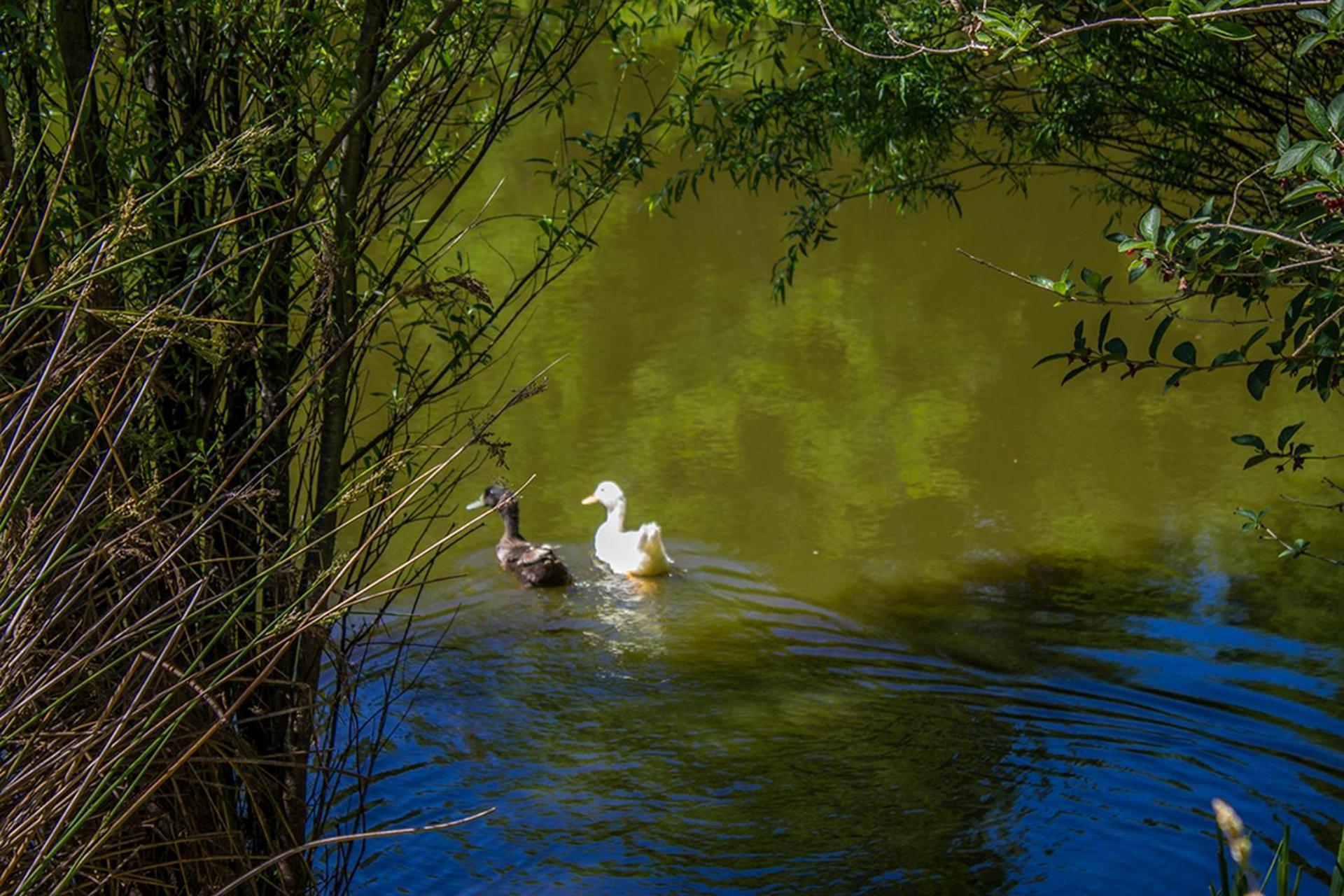 Photo 24