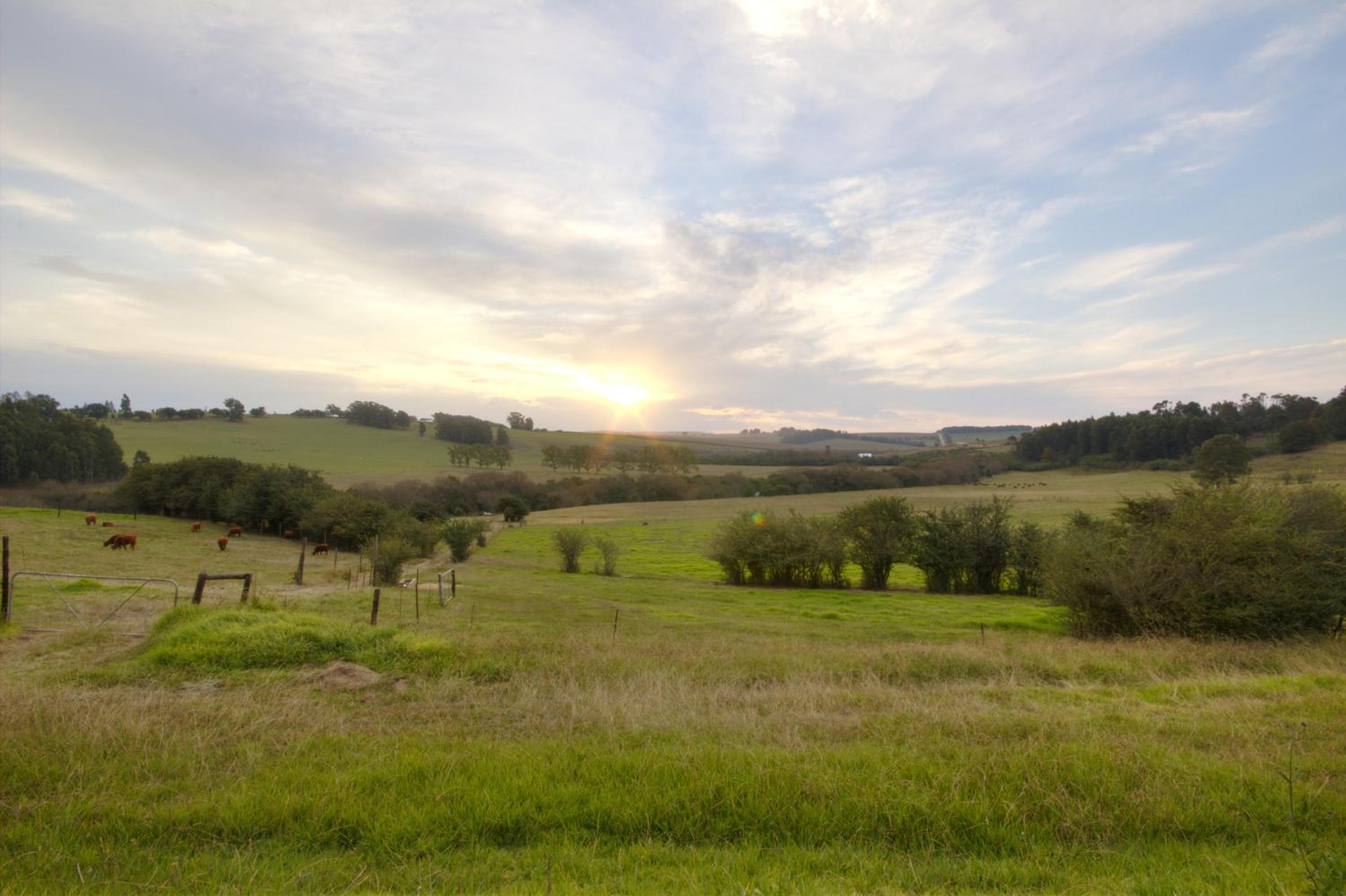 Jolo Farm view 4