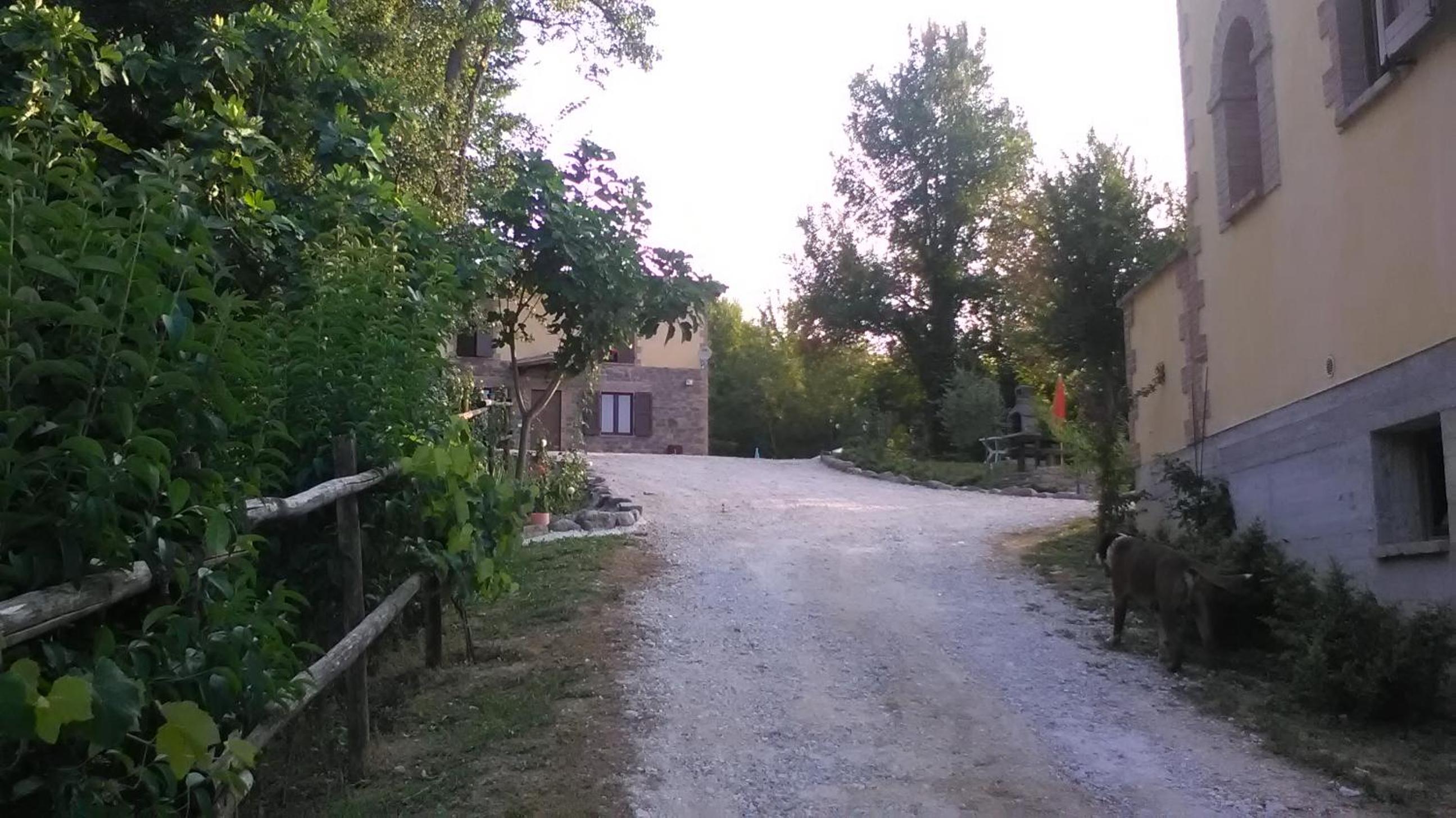 Photo 9