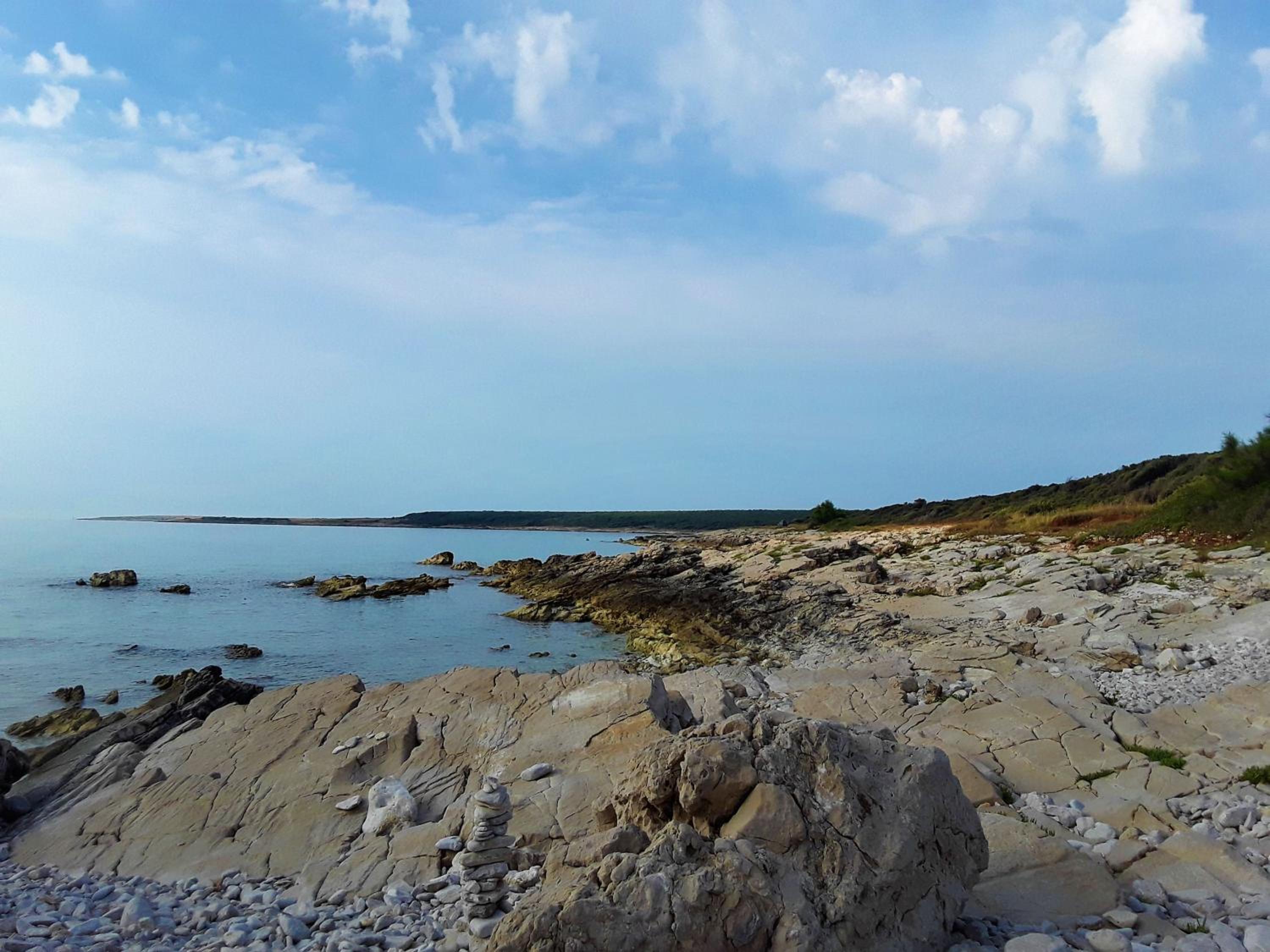 Photo 69