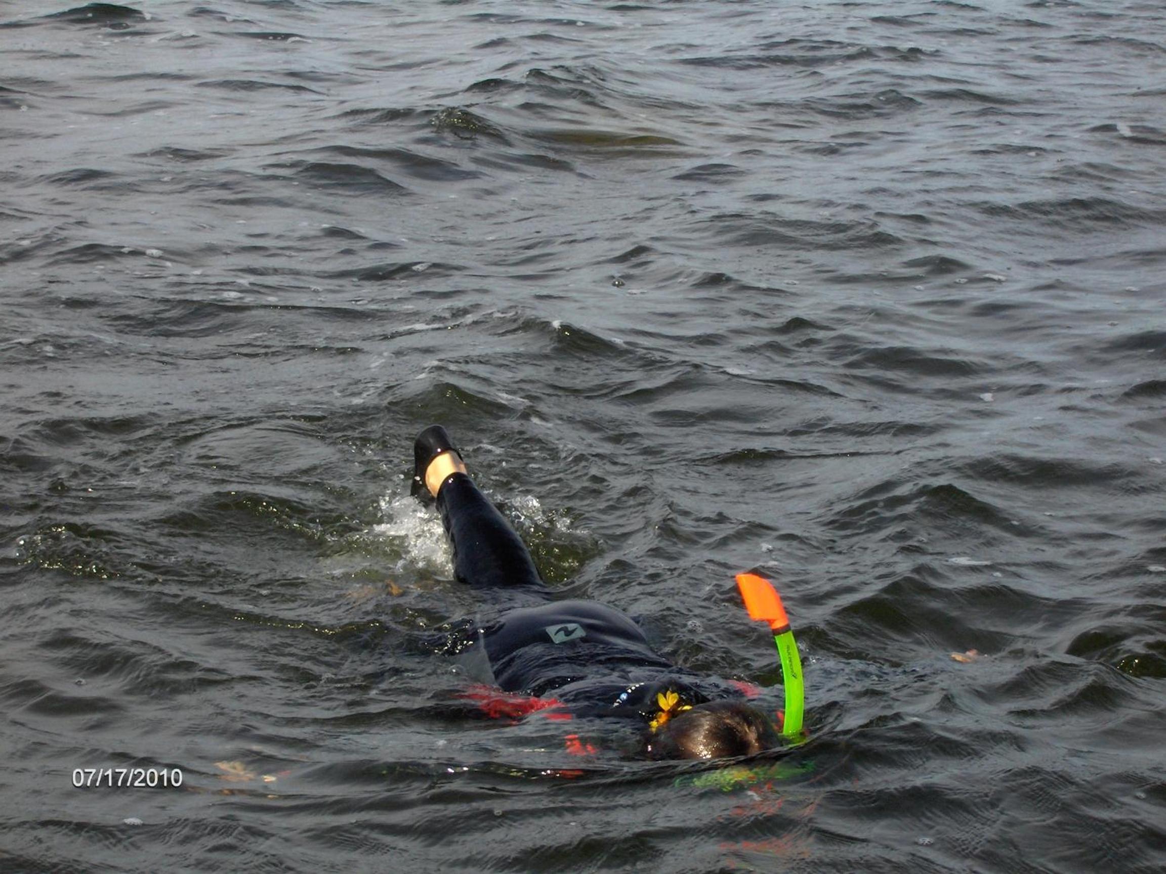 Photo 48