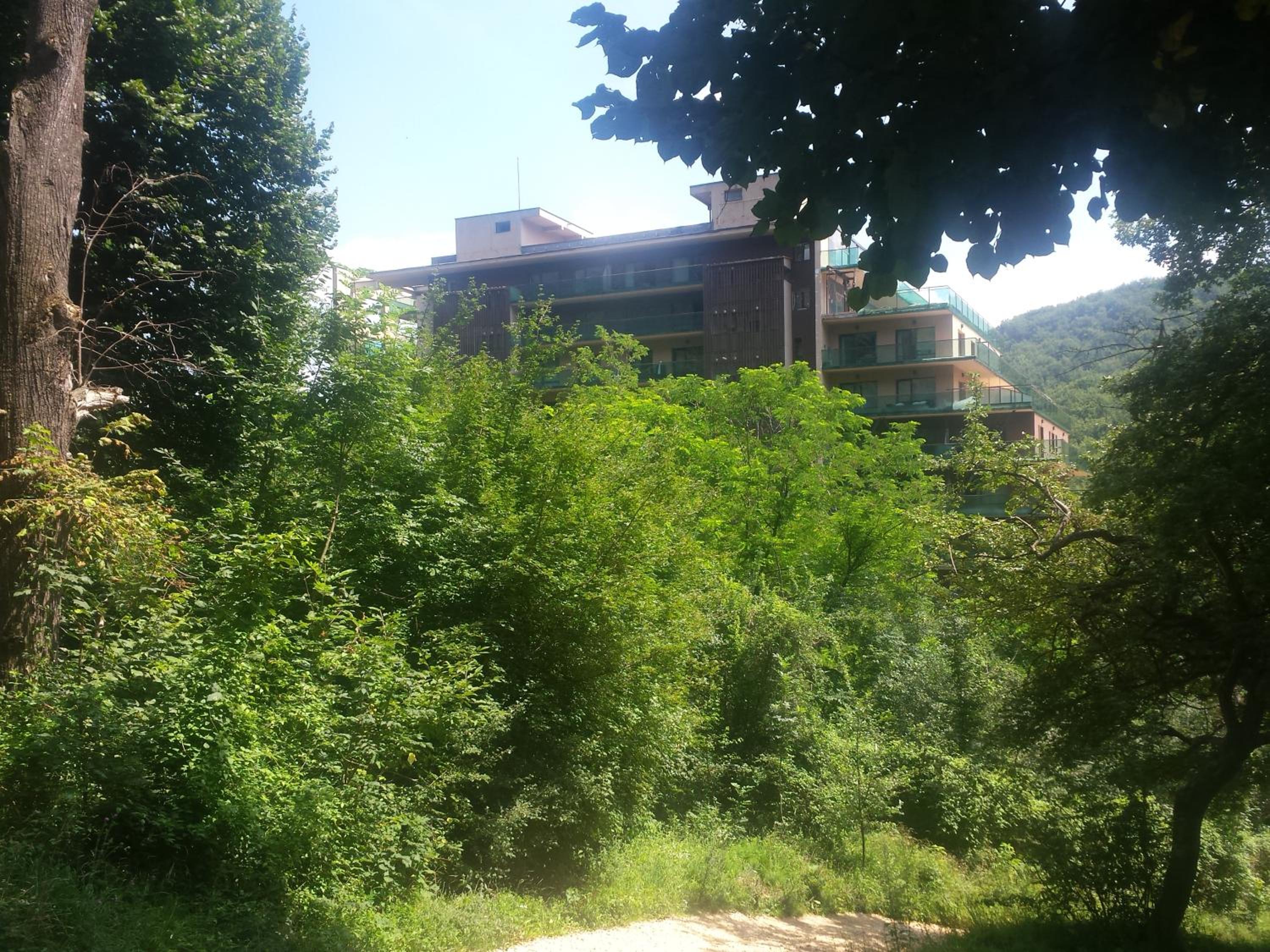 Photo 10