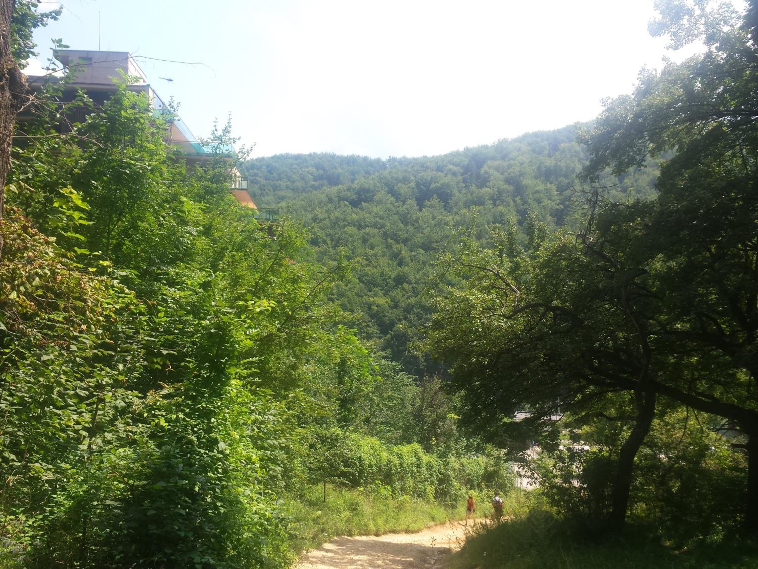 Photo 9