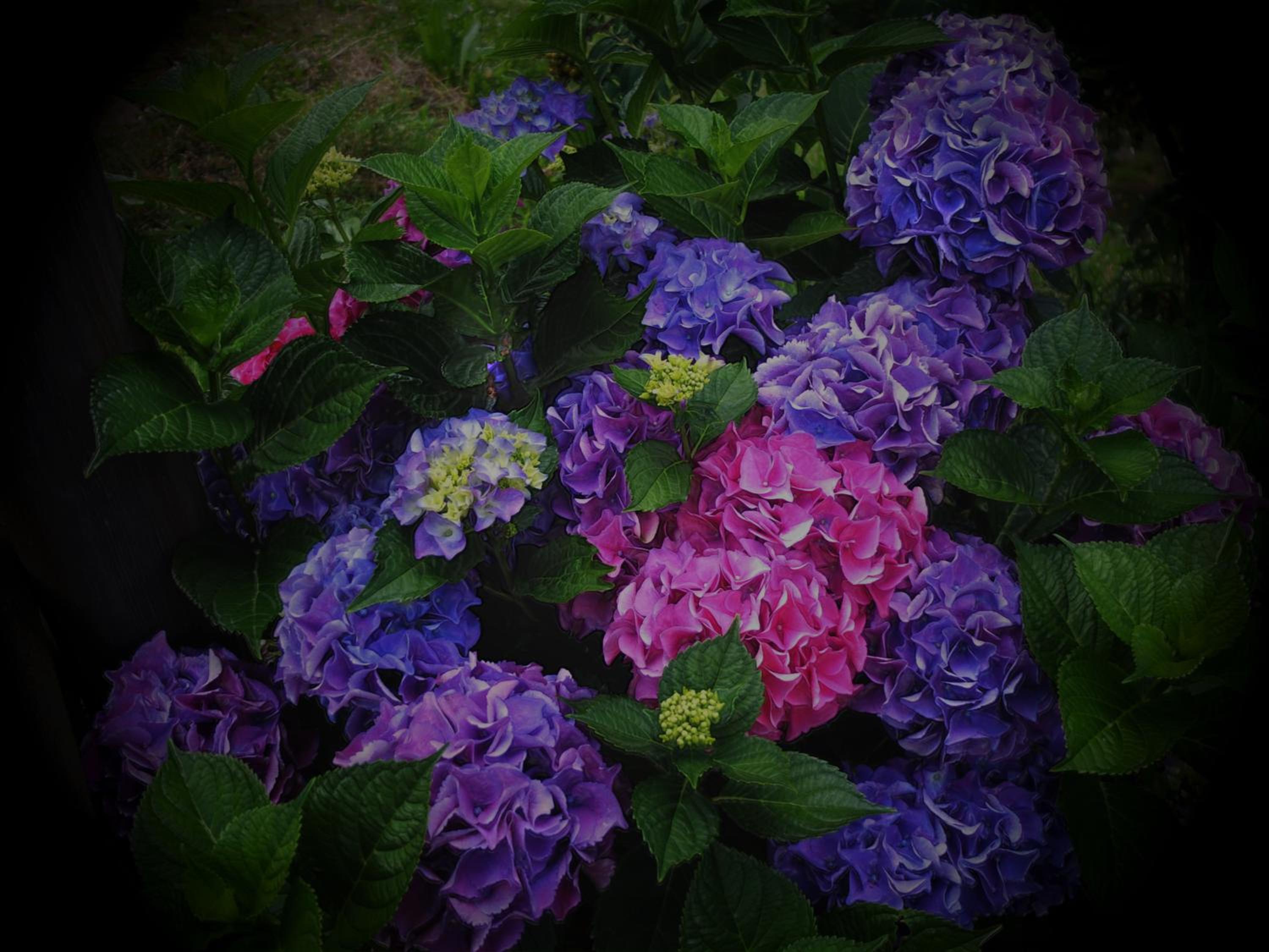 Photo 22