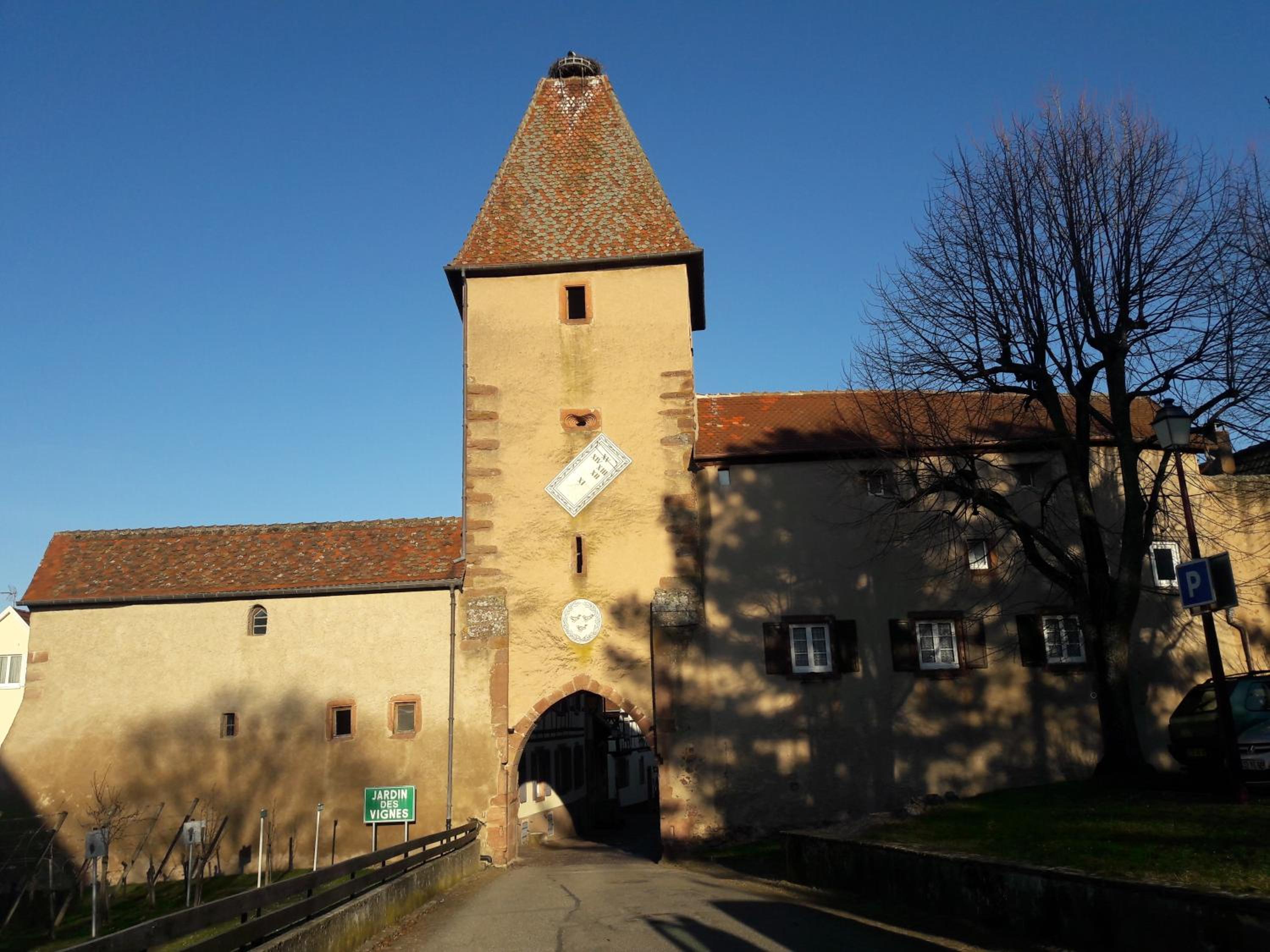 Photo 33