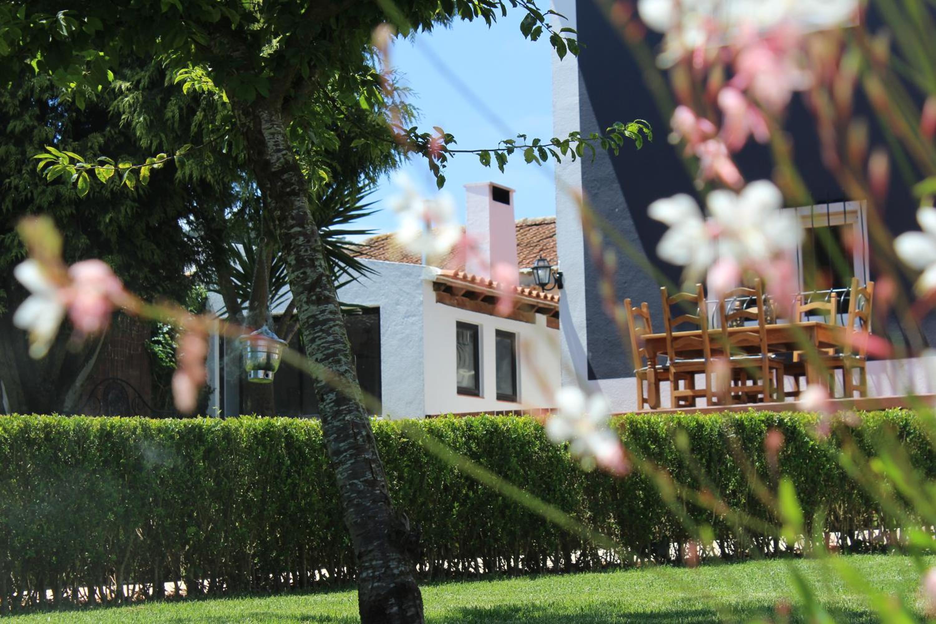 HappySintra GuestHouse by Casa do Preto view 4