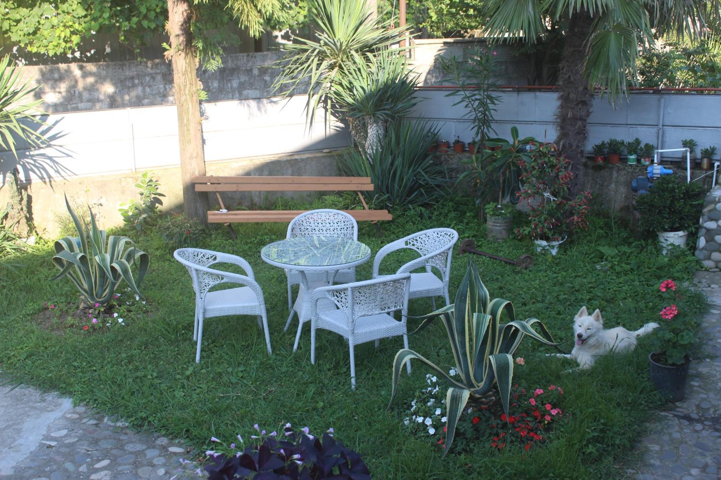 Greenview Guesthouse
