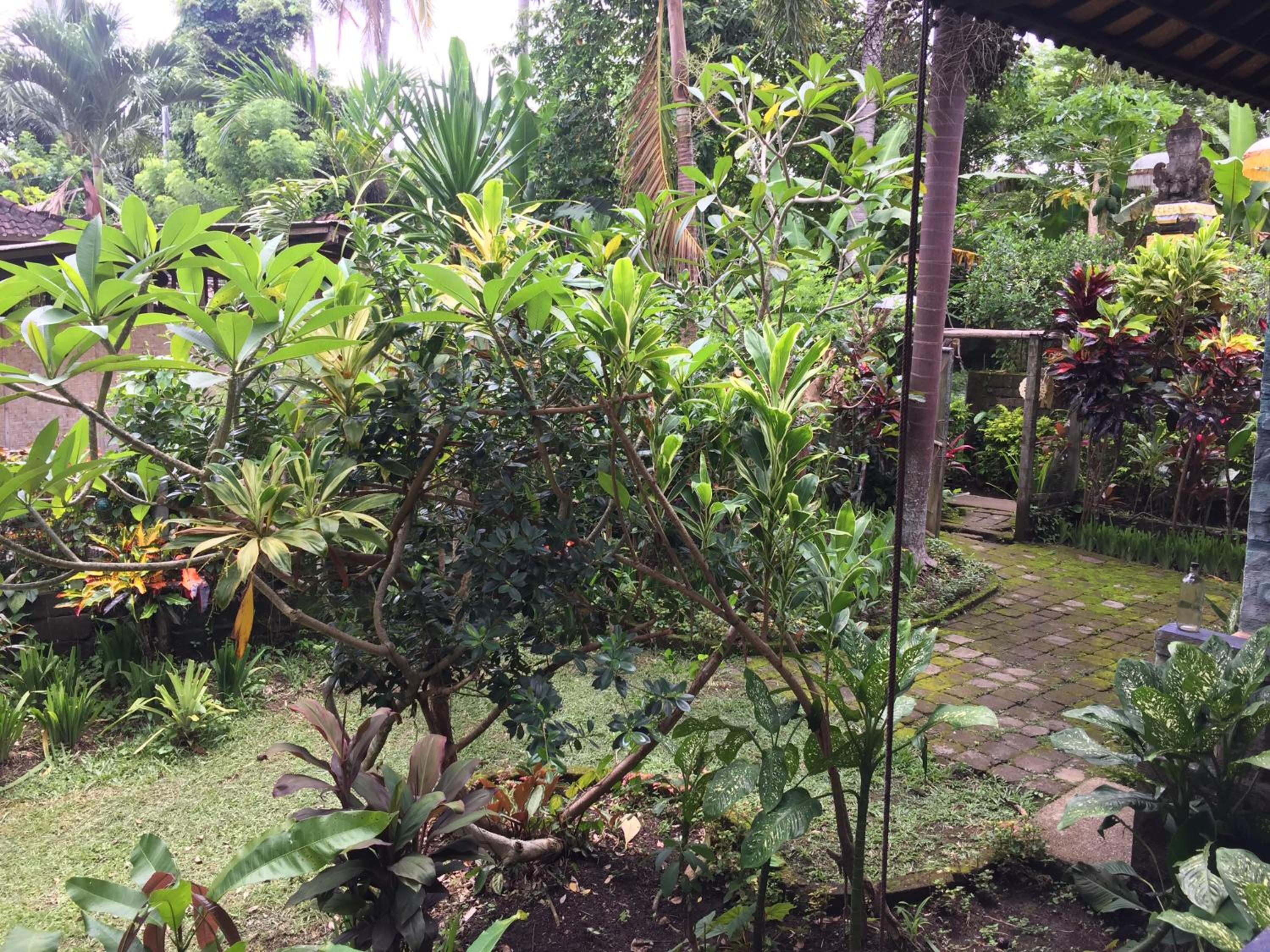 Photo 8