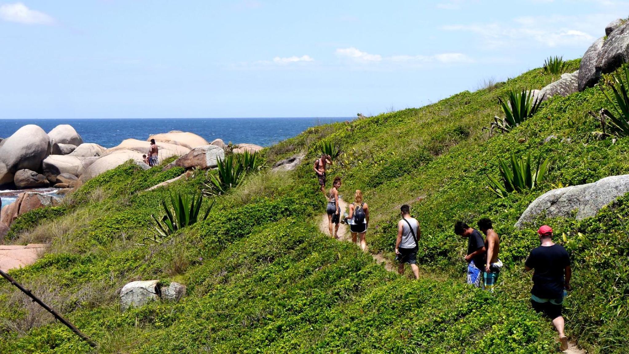 The Search House