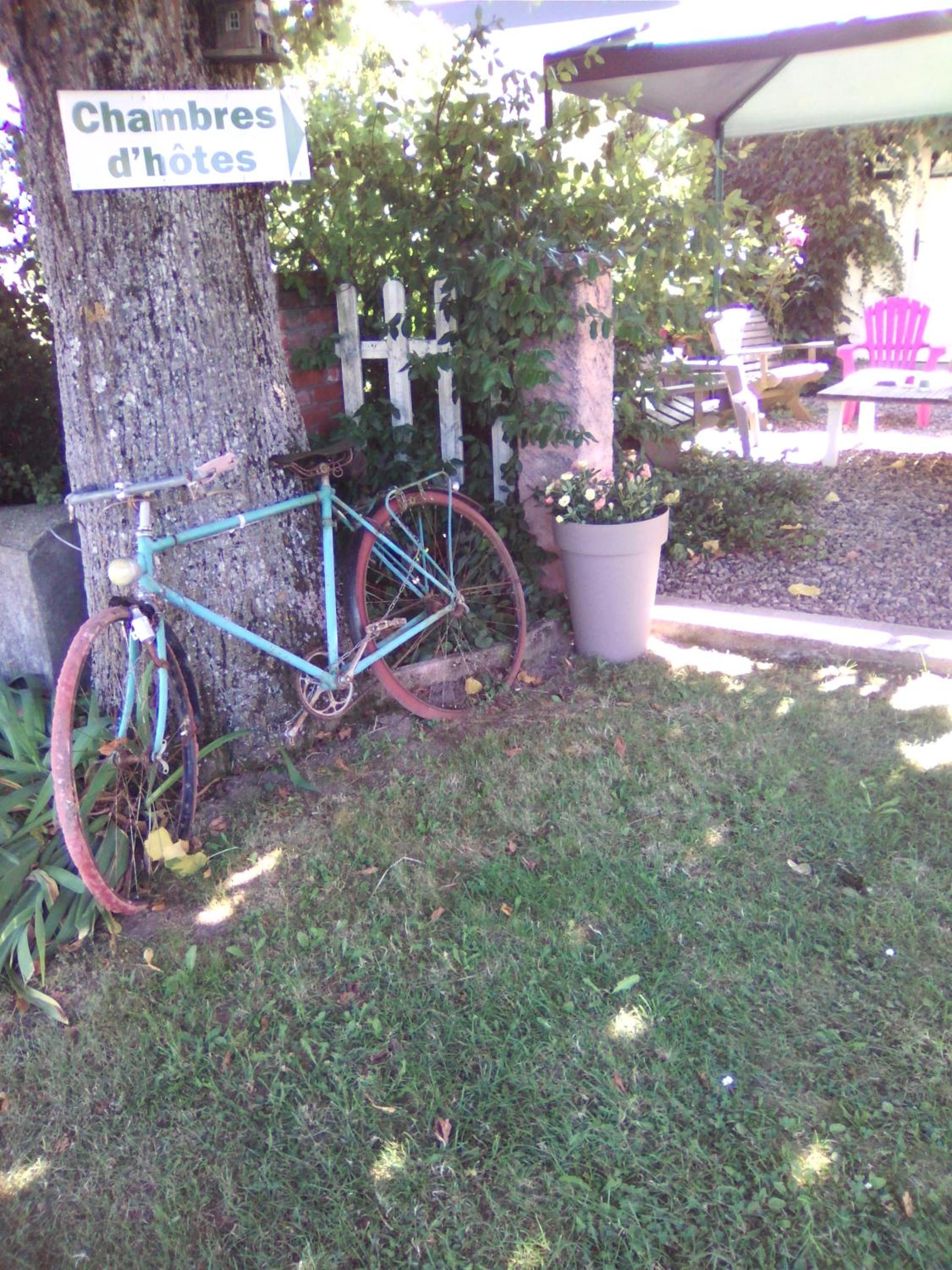 Photo 17