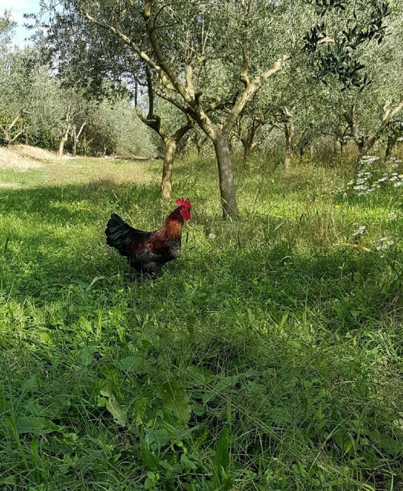AGRITURISMO Casa Riz