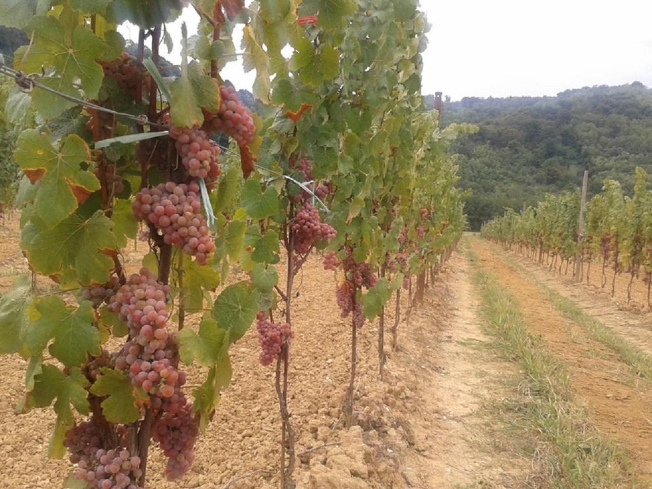 AGRITURISMO Casa Riz