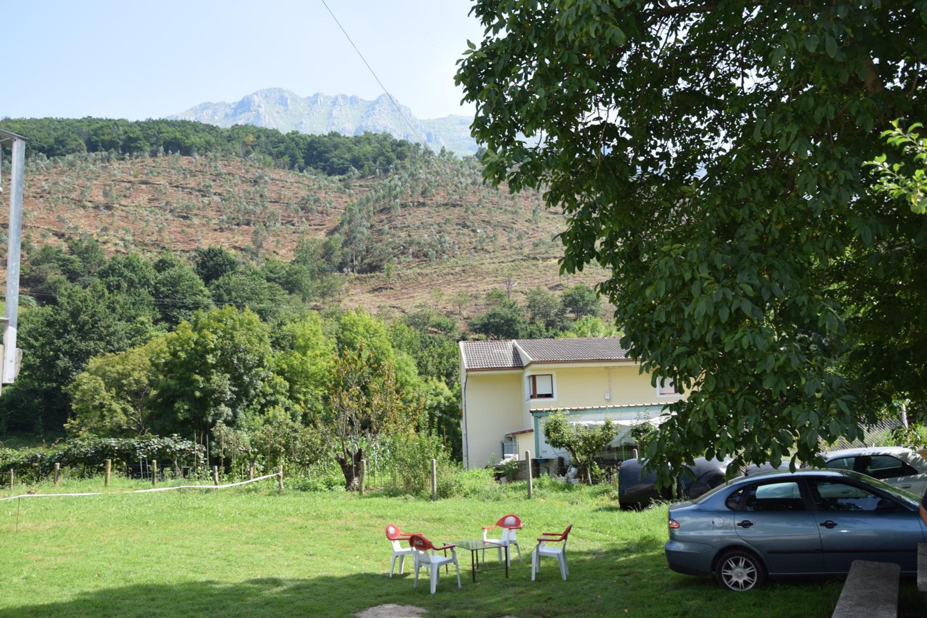 Photo 20