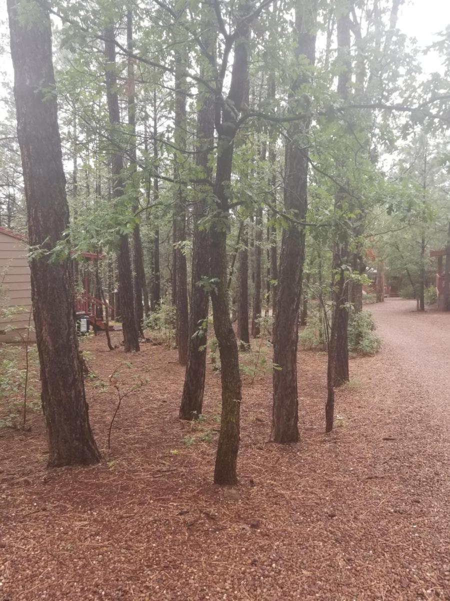 Northwoods Resort Cabins view 2
