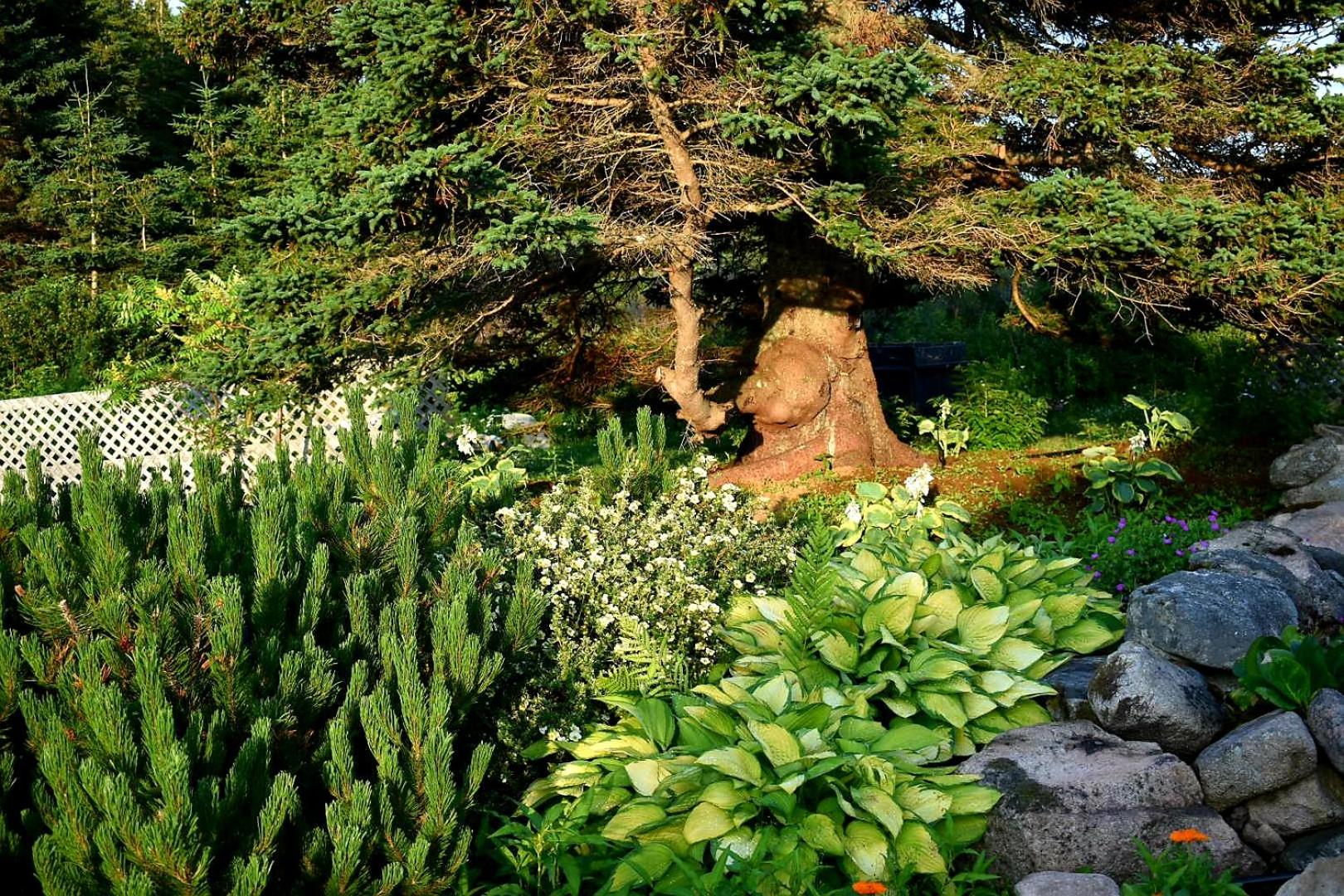 garden