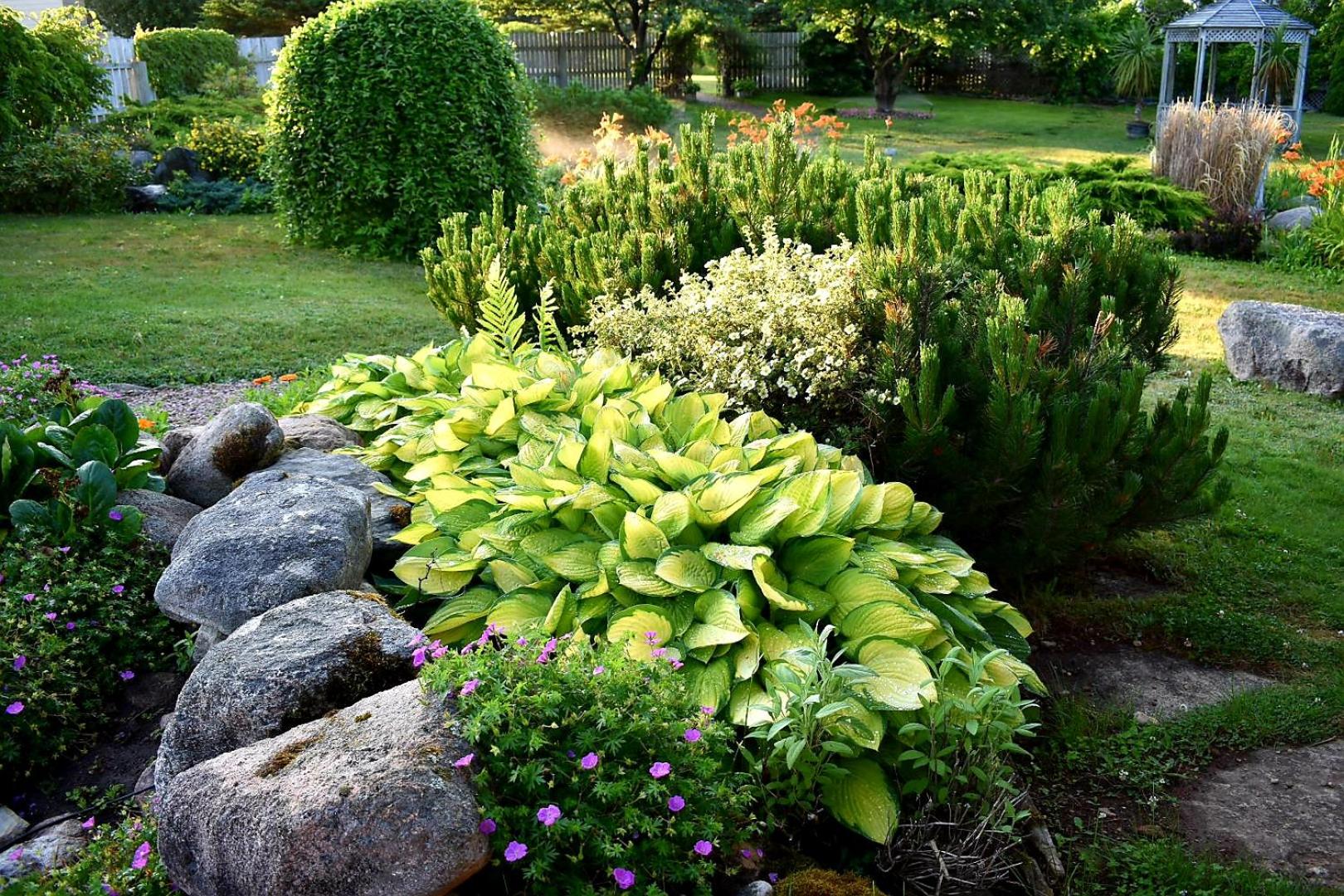 garden