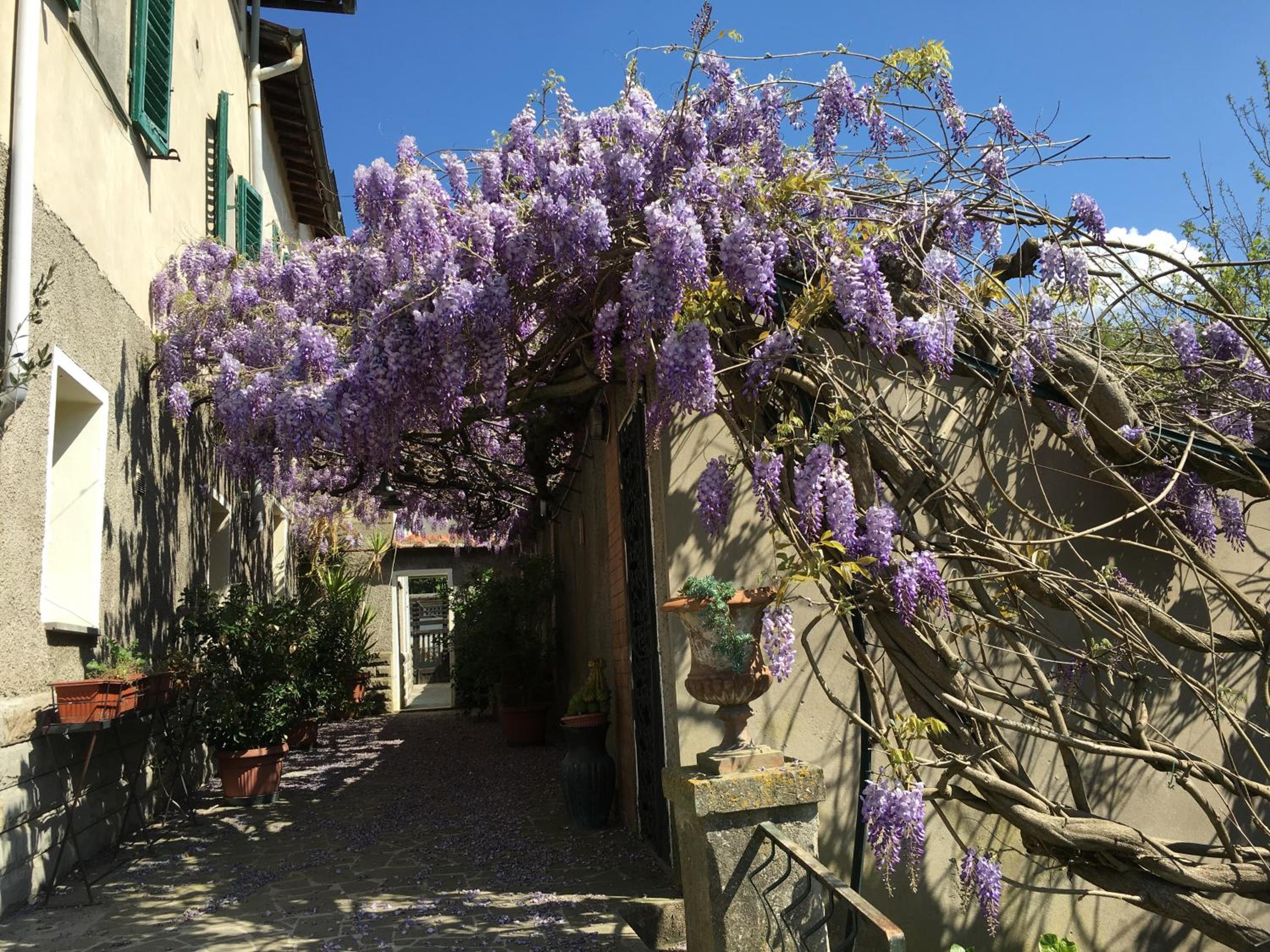 Villa Baronzola view 2