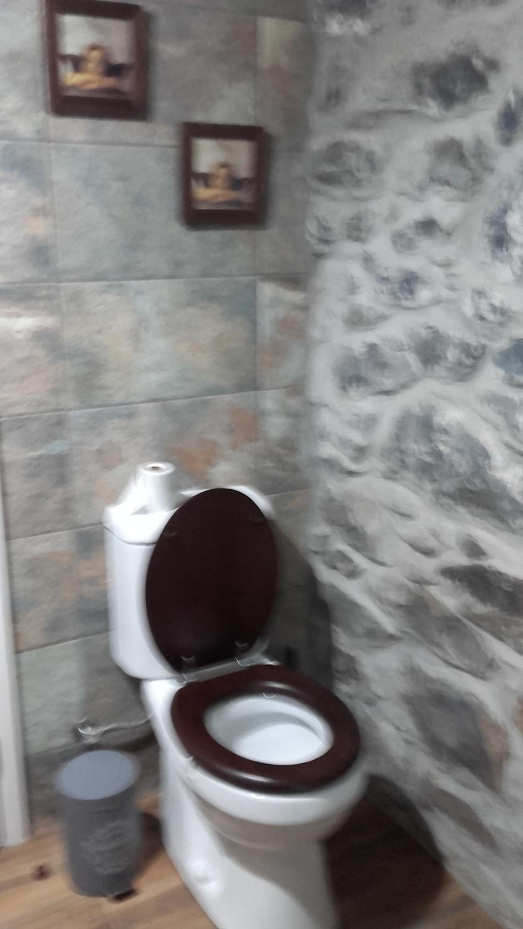 Photo 51