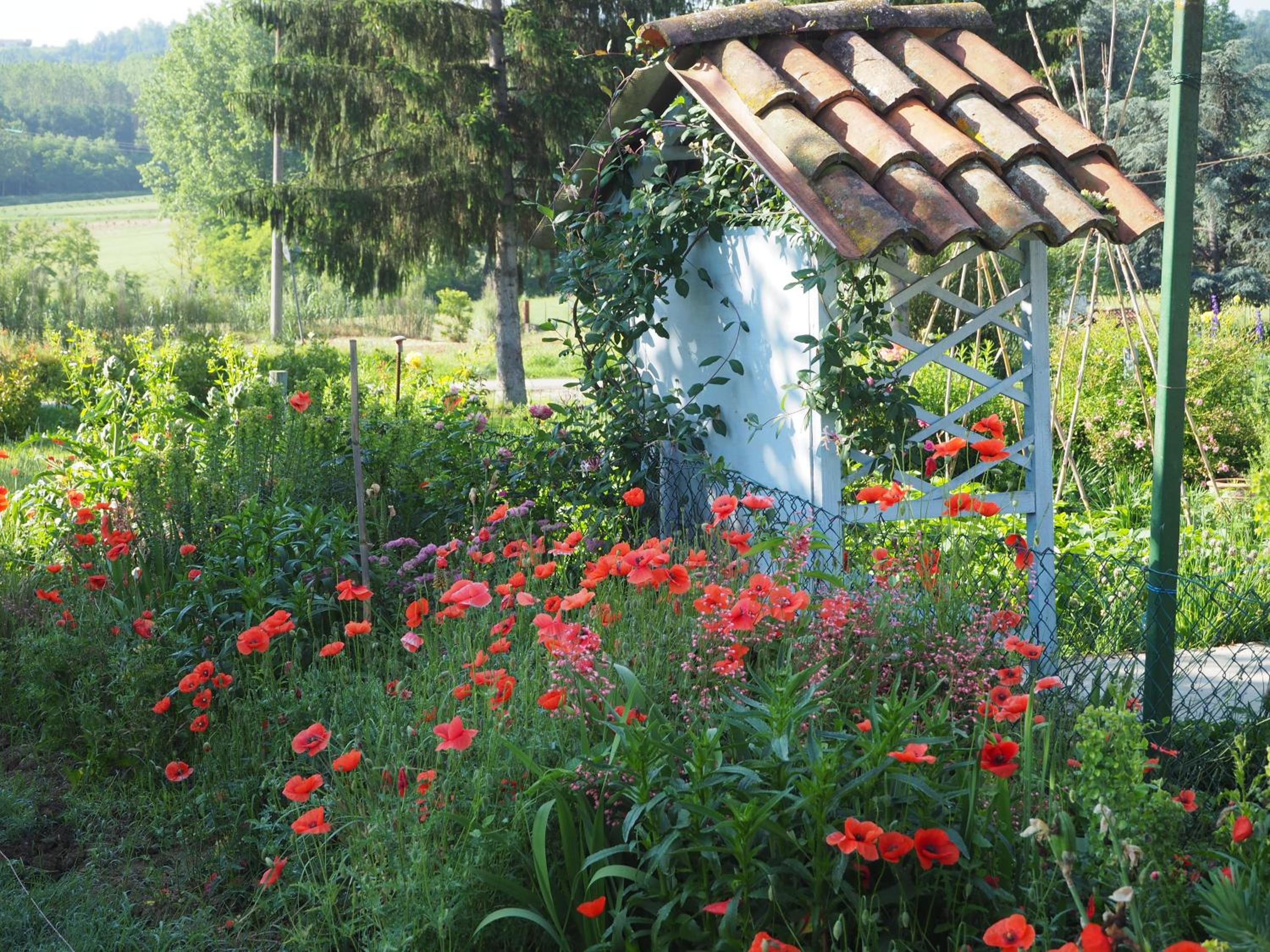 Photo 51