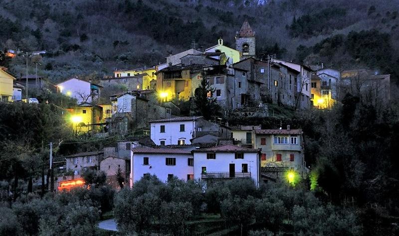 La Tana Nel Castelvecchio view 5