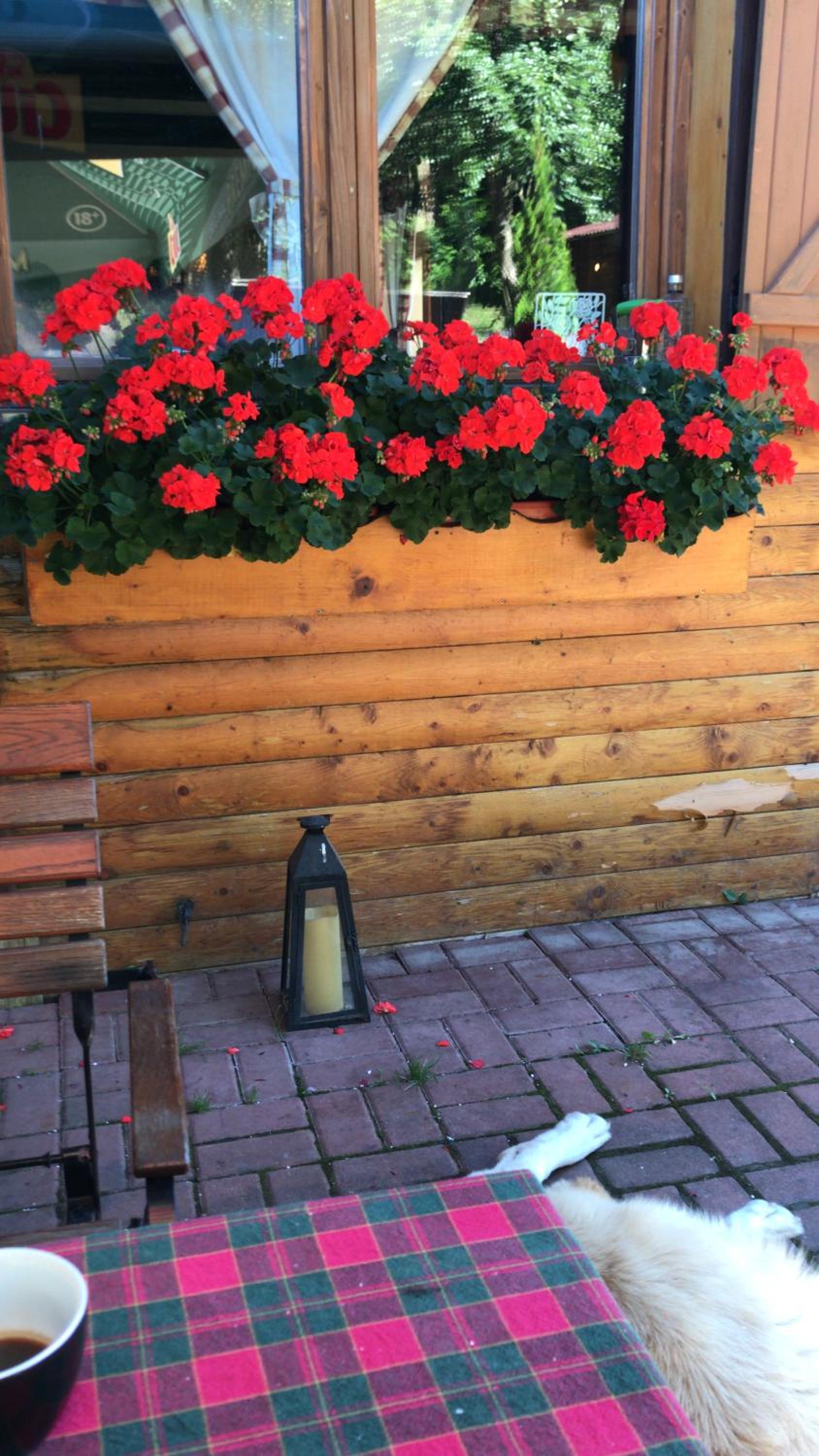 Gasthaus Maria