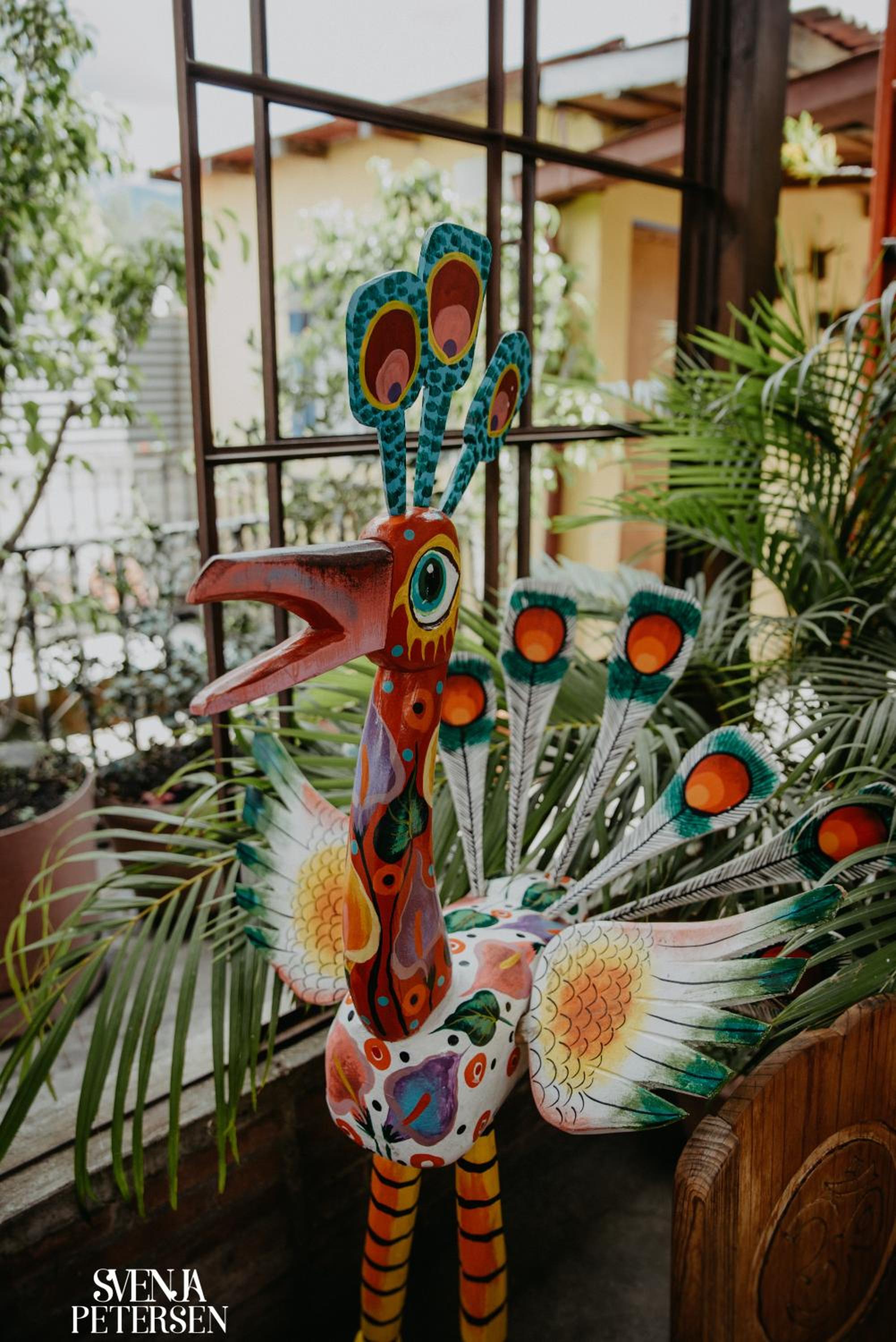 Photo 150