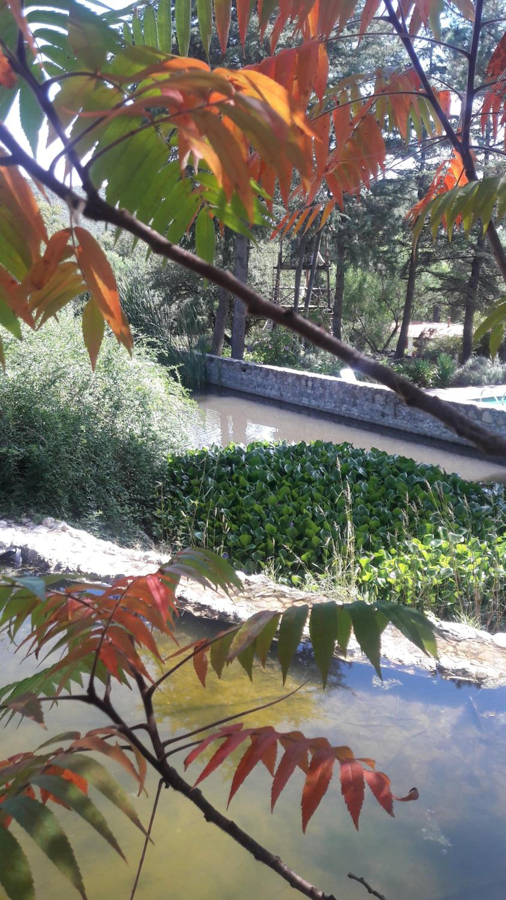 Quinta Santana