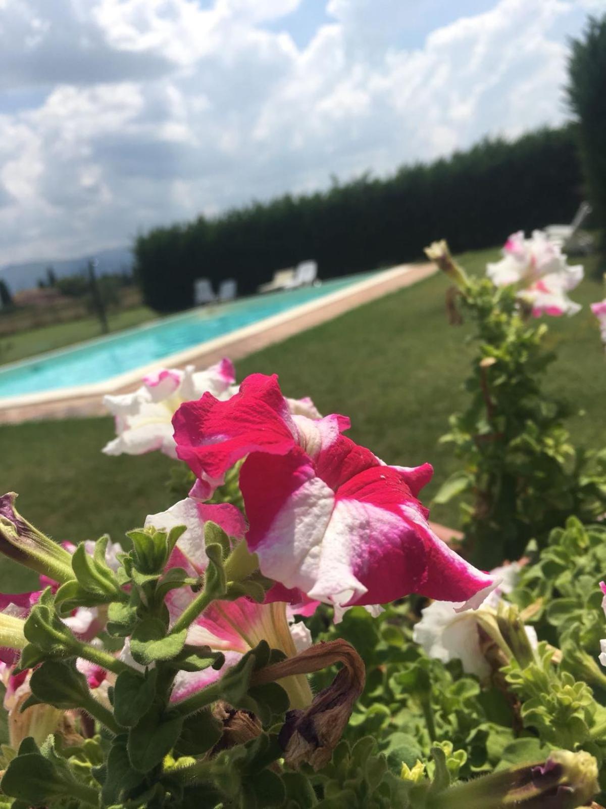 Le Ghiande