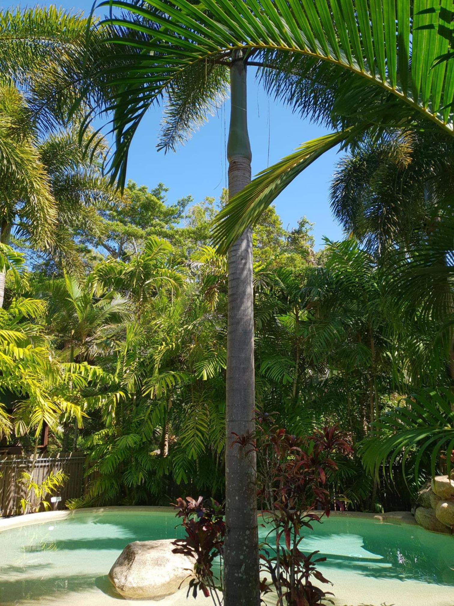 Cassawong Cottages