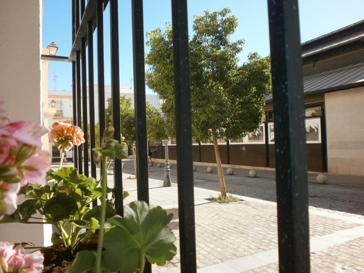 Casa en Plaza de la Merced_Centro Flamenco_Cádiz view 4