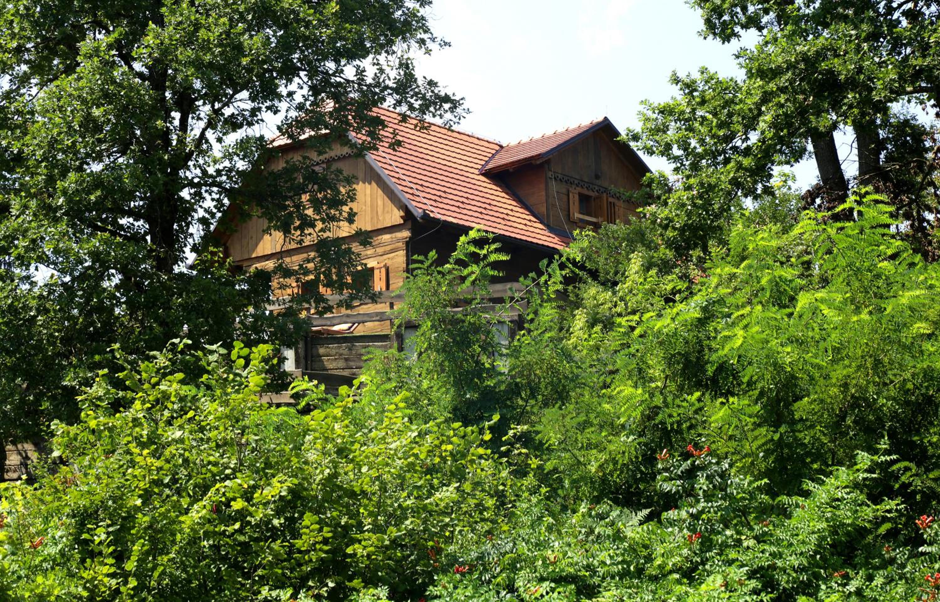Photo 6