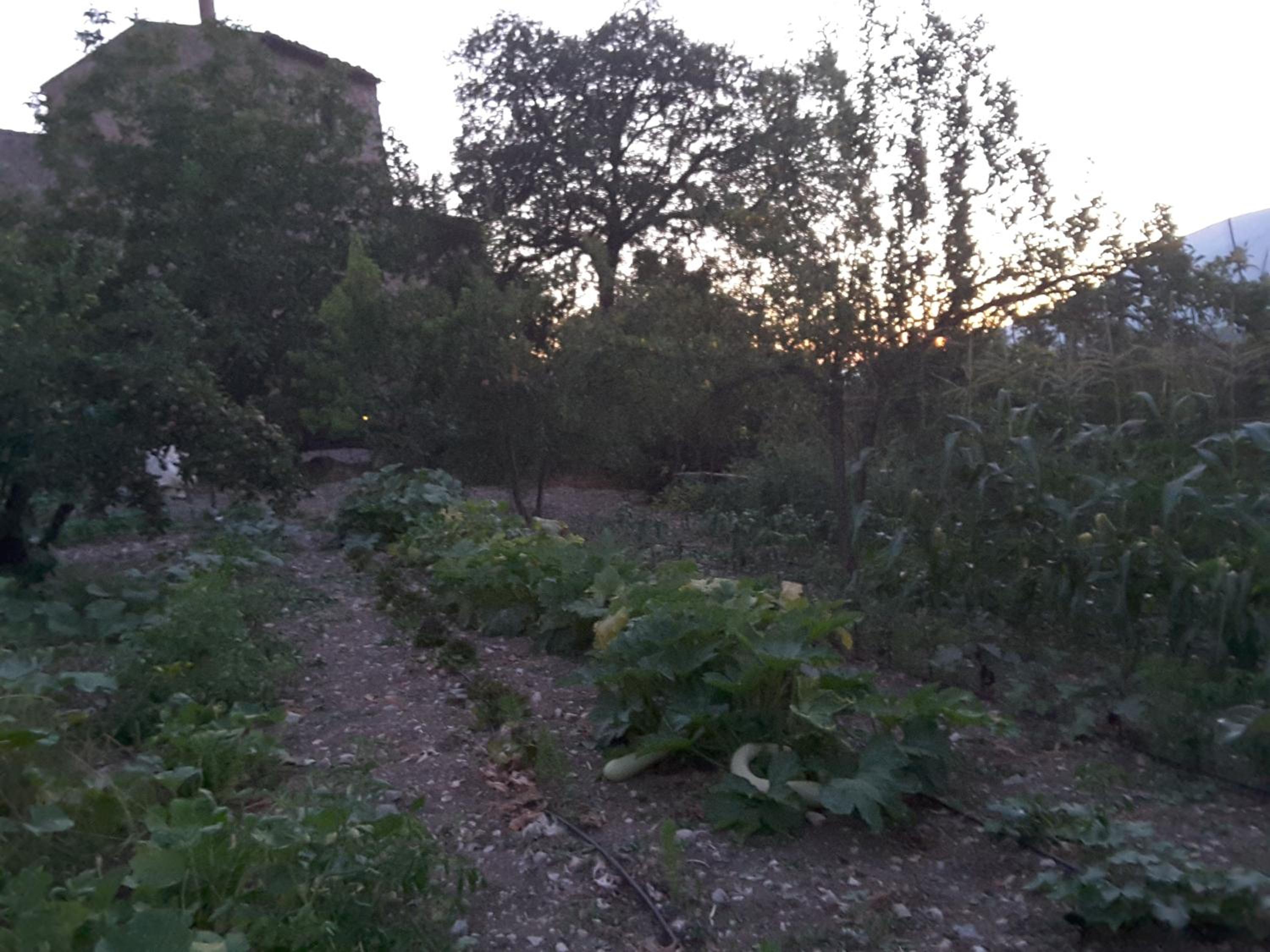 Giardino Donna Lavia