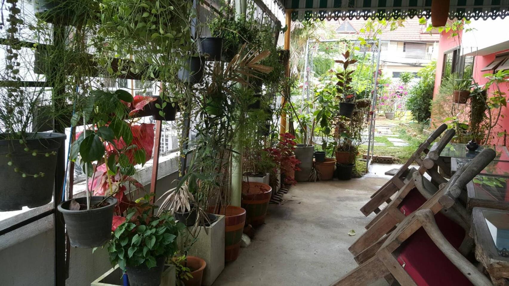 Hom Baan Chiang Mai view 5