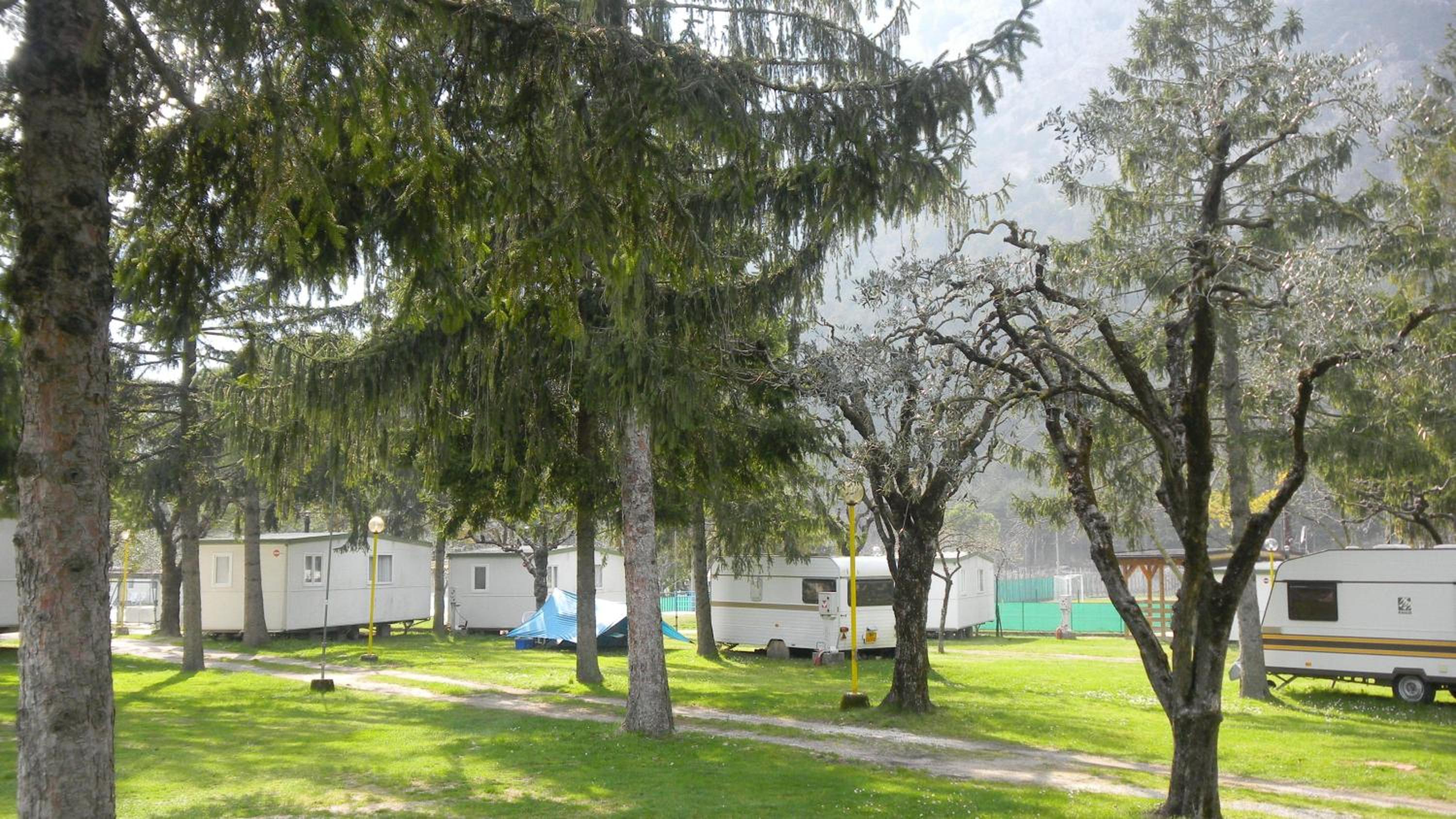 Camping Daino