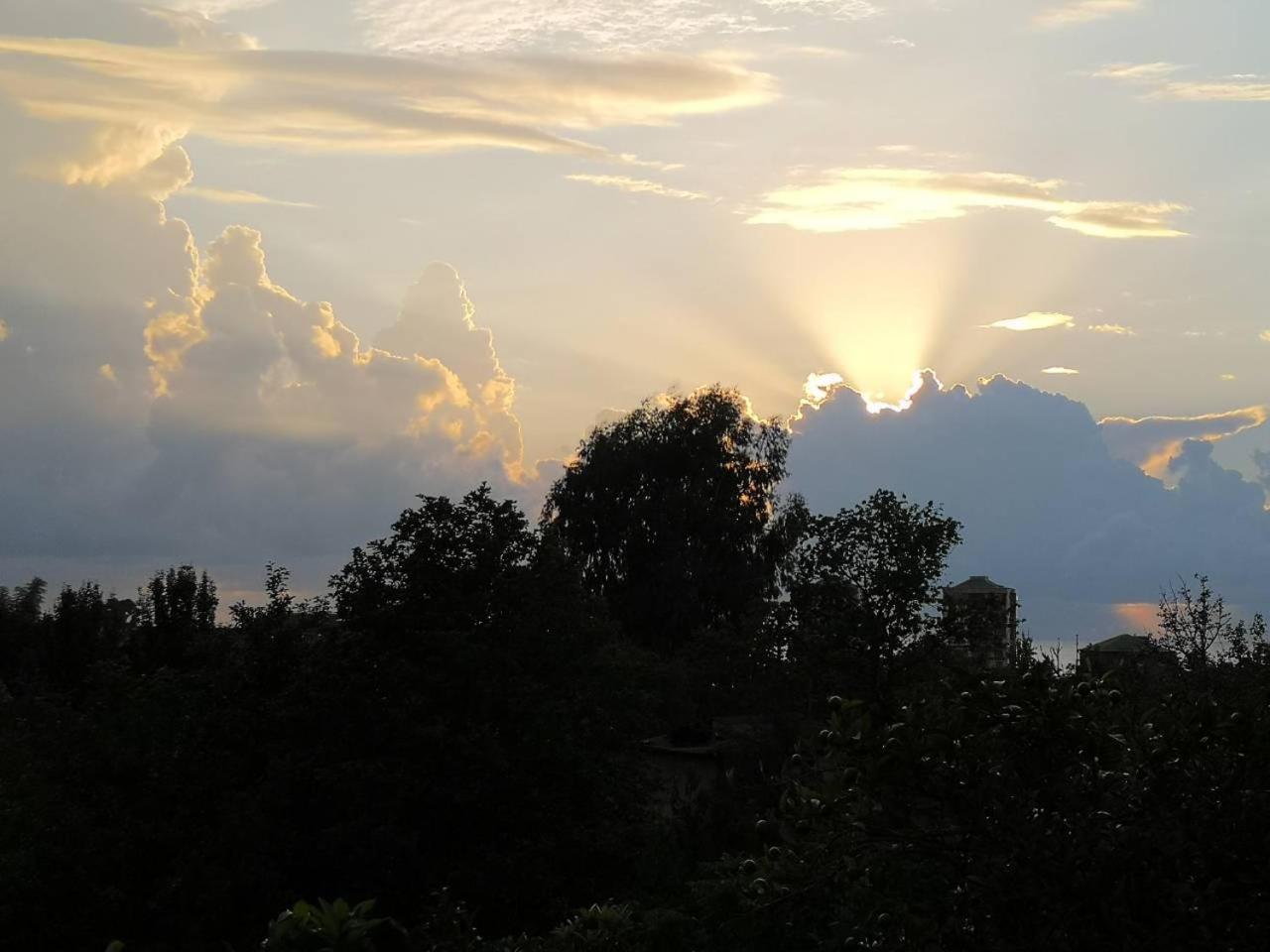 Photo 39
