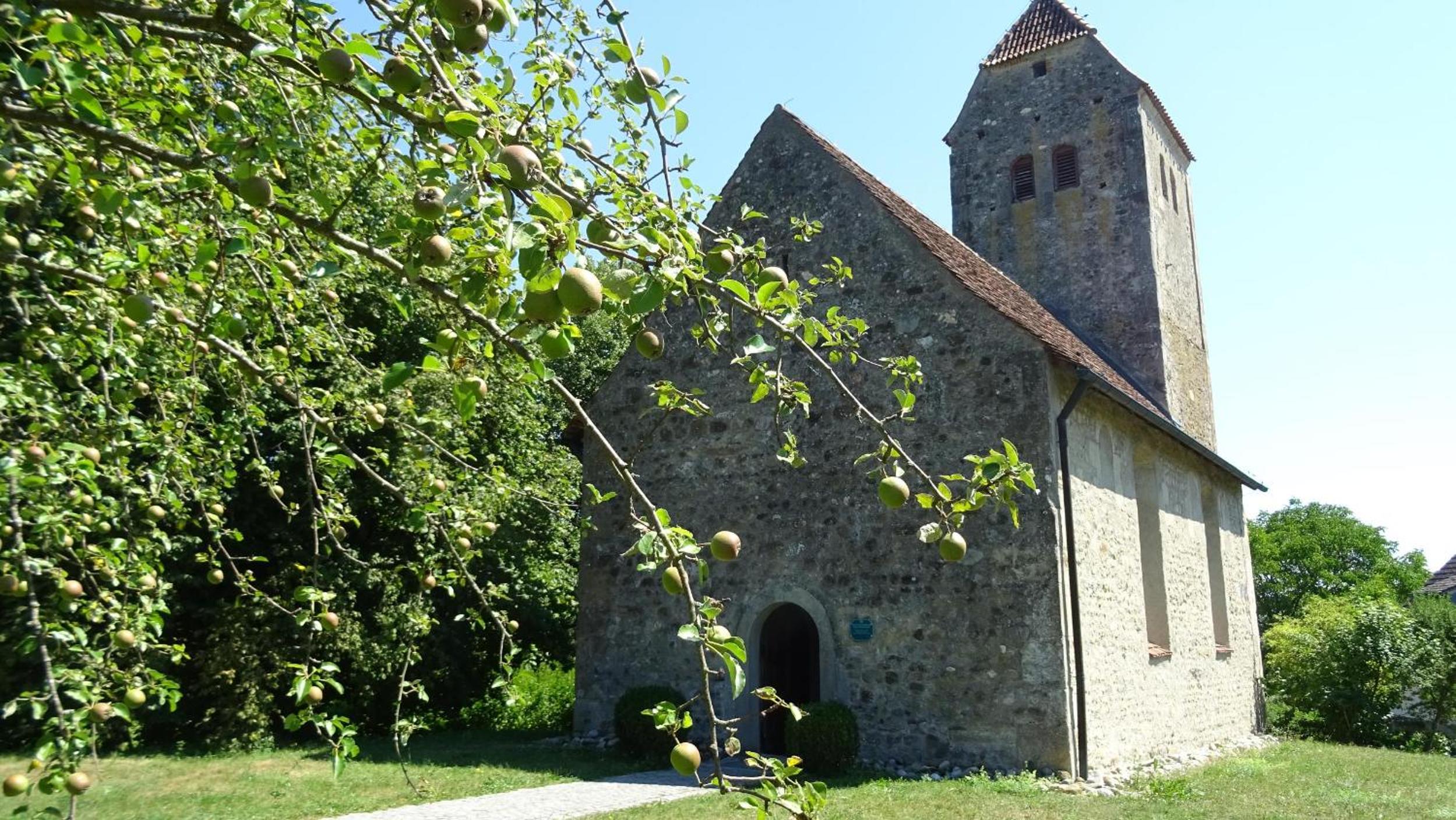 Photo 28