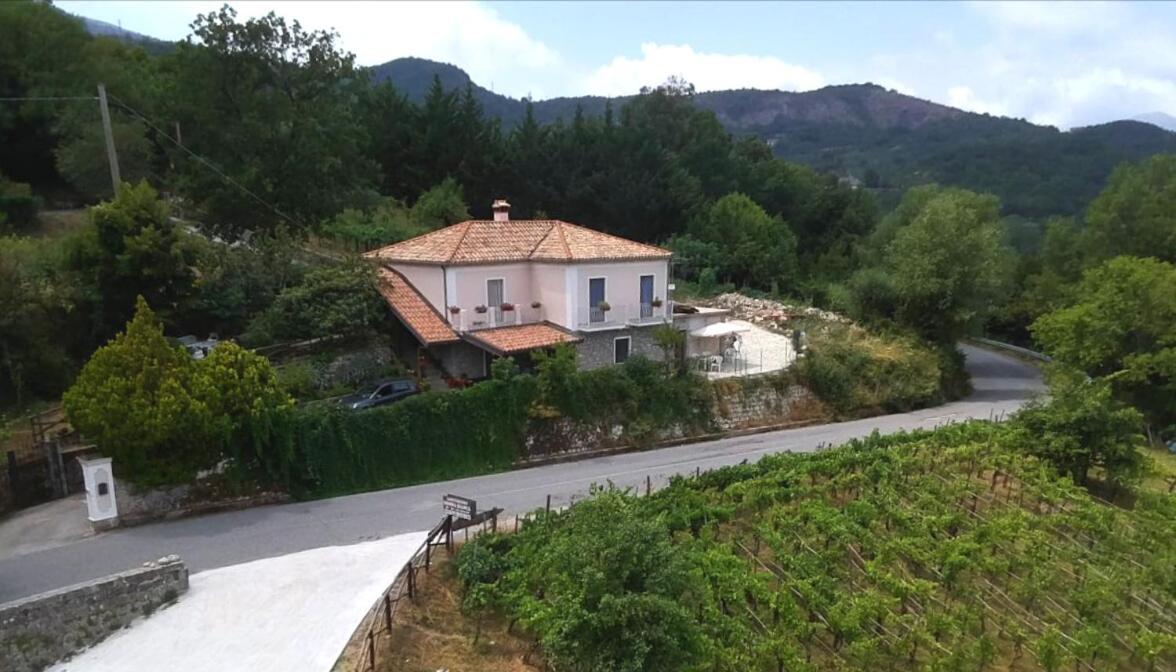 Agriturismo Donna Bianca