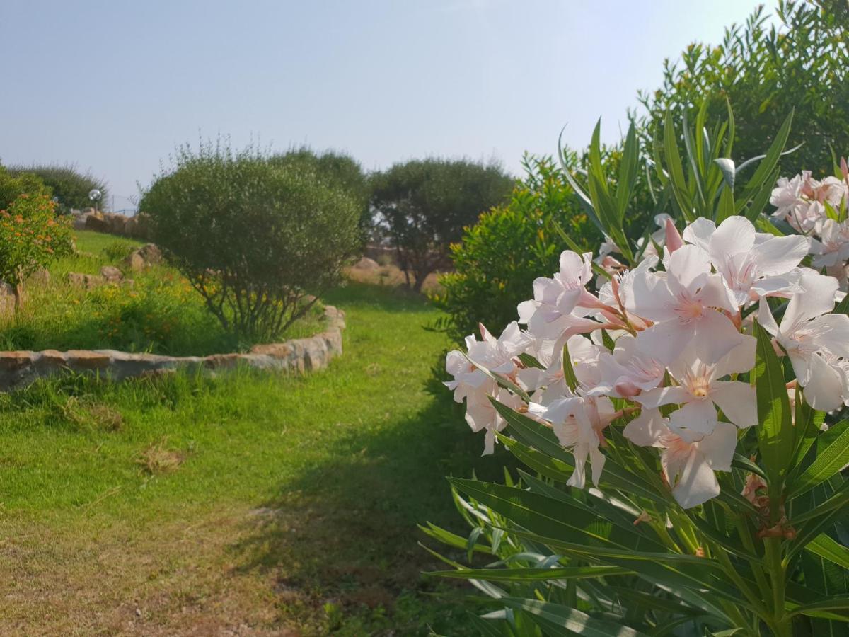 Villa Sprafundu - Property Image 10