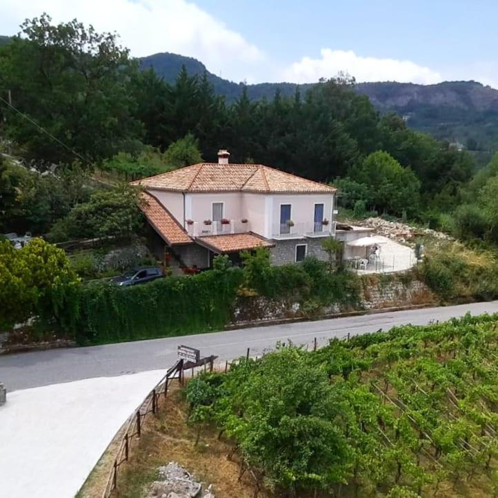 Agriturismo Donna Bianca