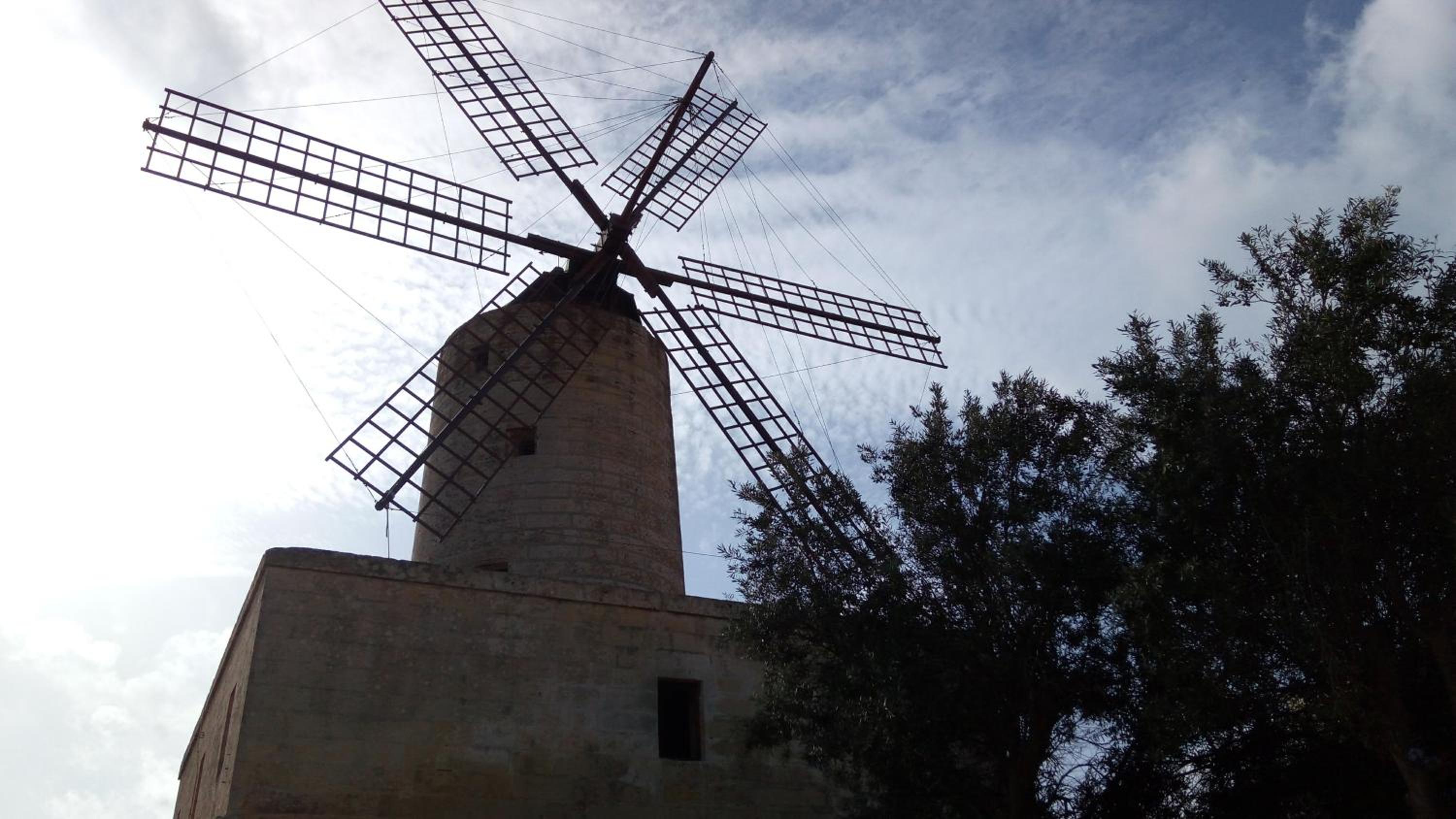 Photo 41