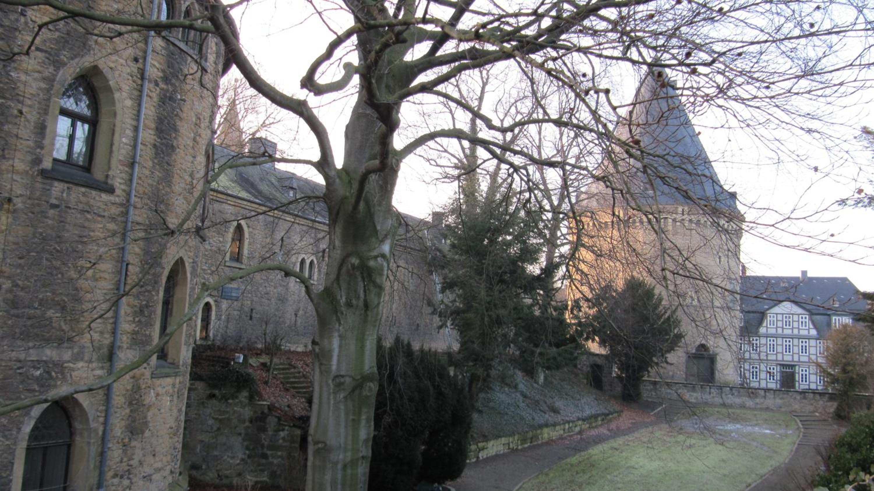 Photo 14