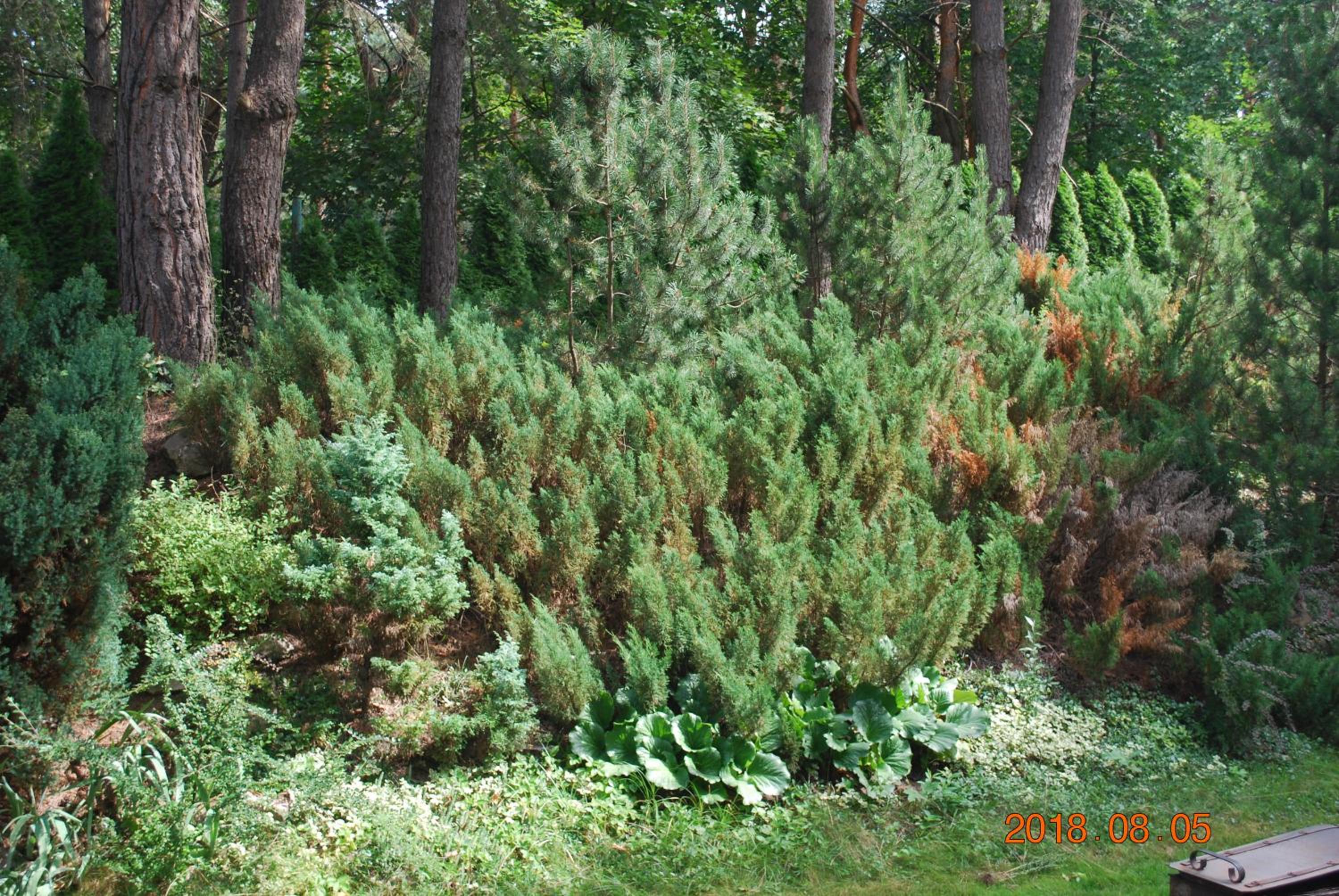 Photo 6