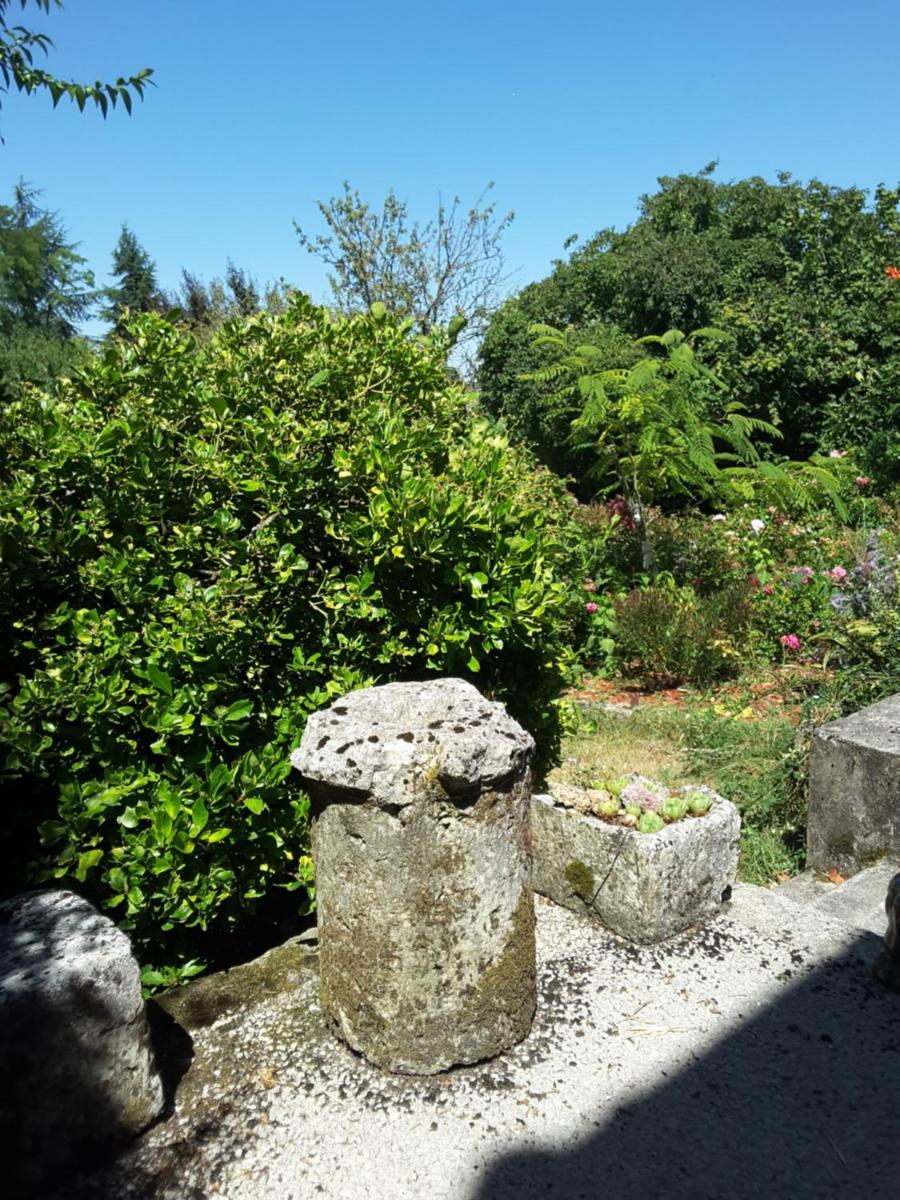 Photo 24