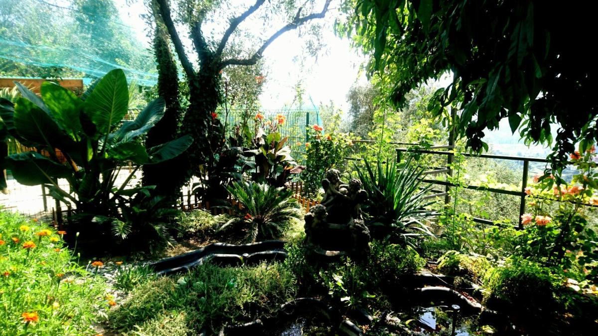 Villa Angel view 5