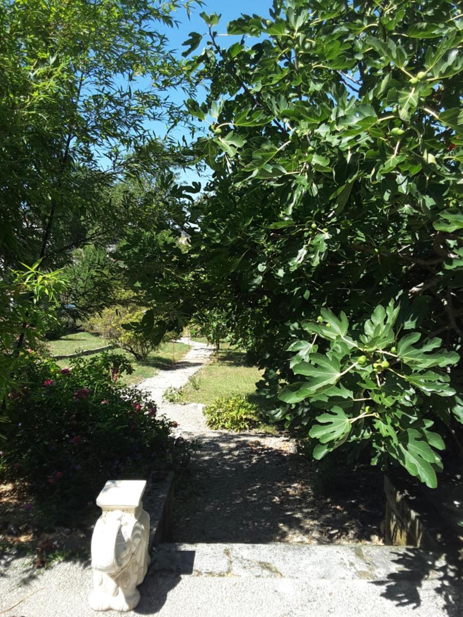 Photo 27